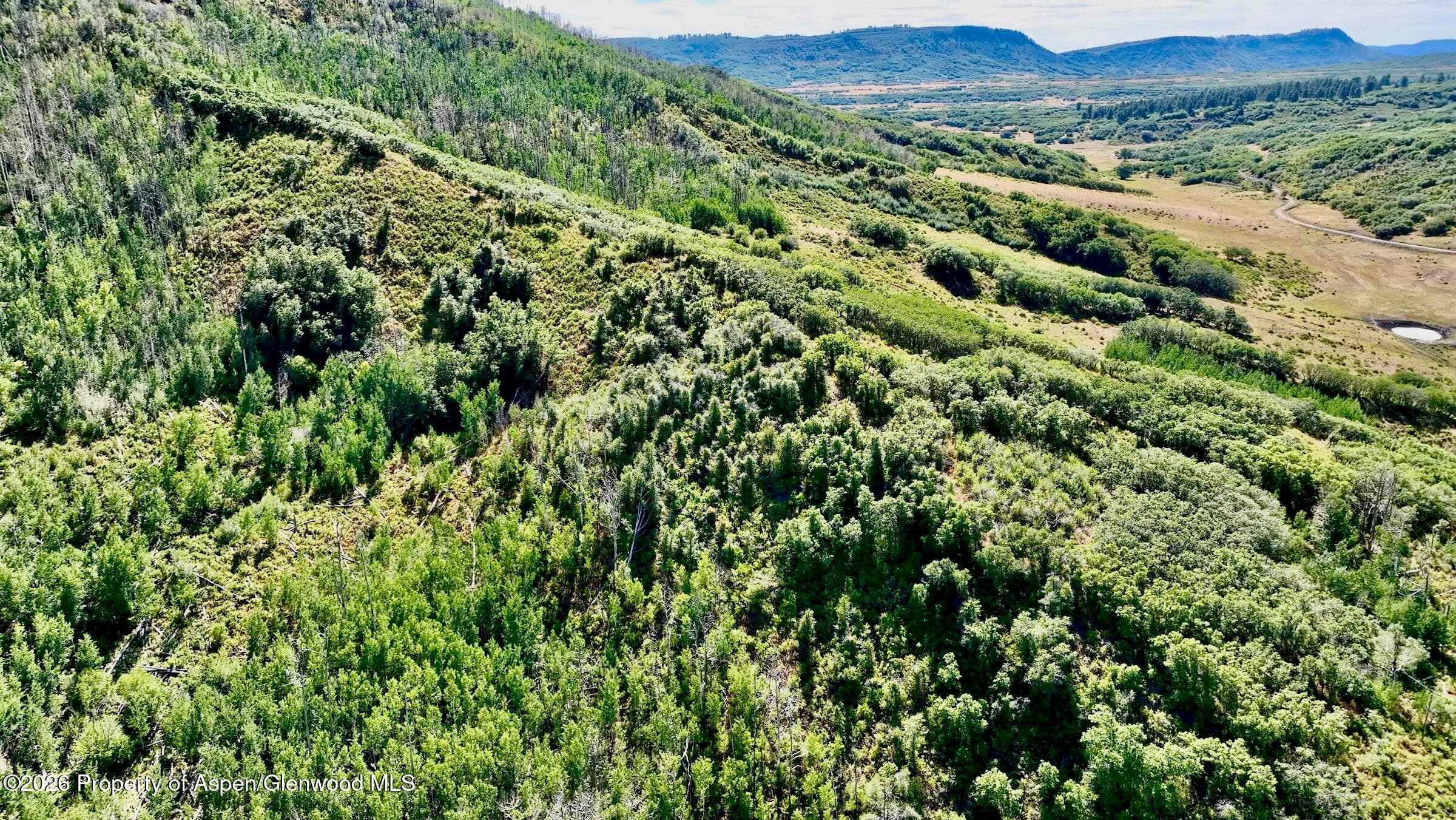1368 Cr 124, Durango, CO 81301 - Photo 9