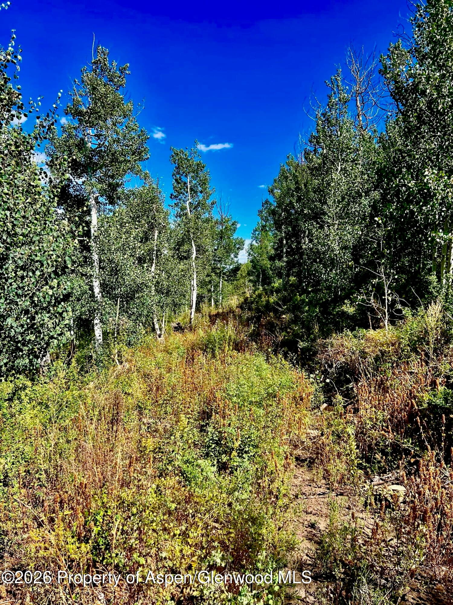 1368 Cr 124, Durango, CO 81301 - Photo 12
