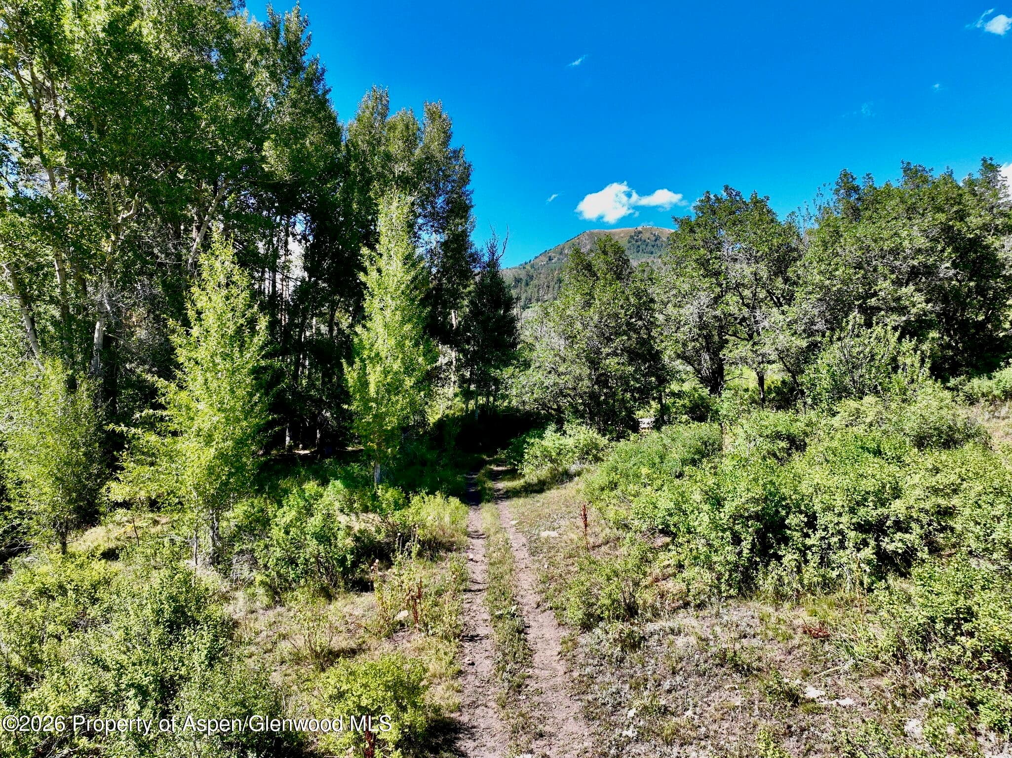 1368 Cr 124, Durango, CO 81301 - Photo 8