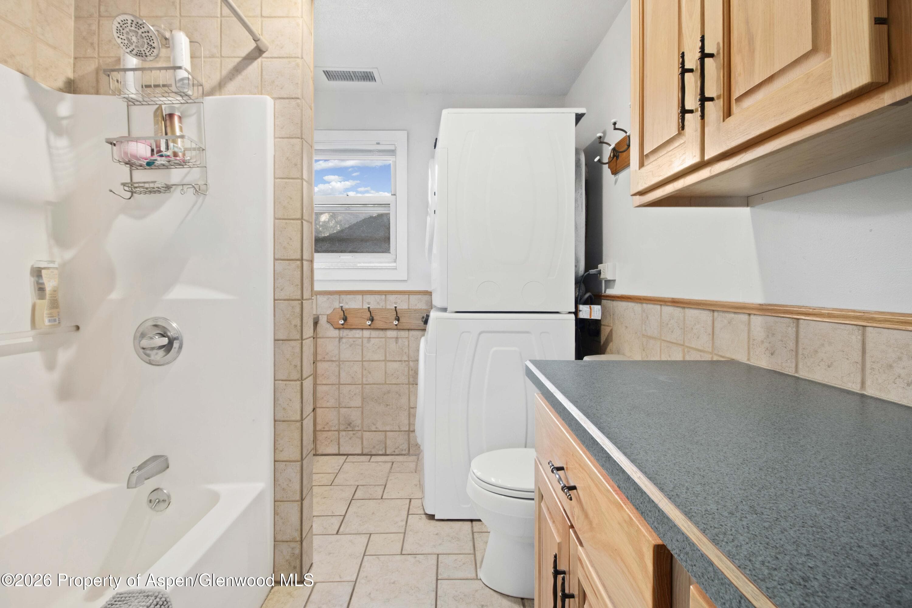 1018 Grand Avenue, Glenwood Springs, CO 81601 - Photo 21
