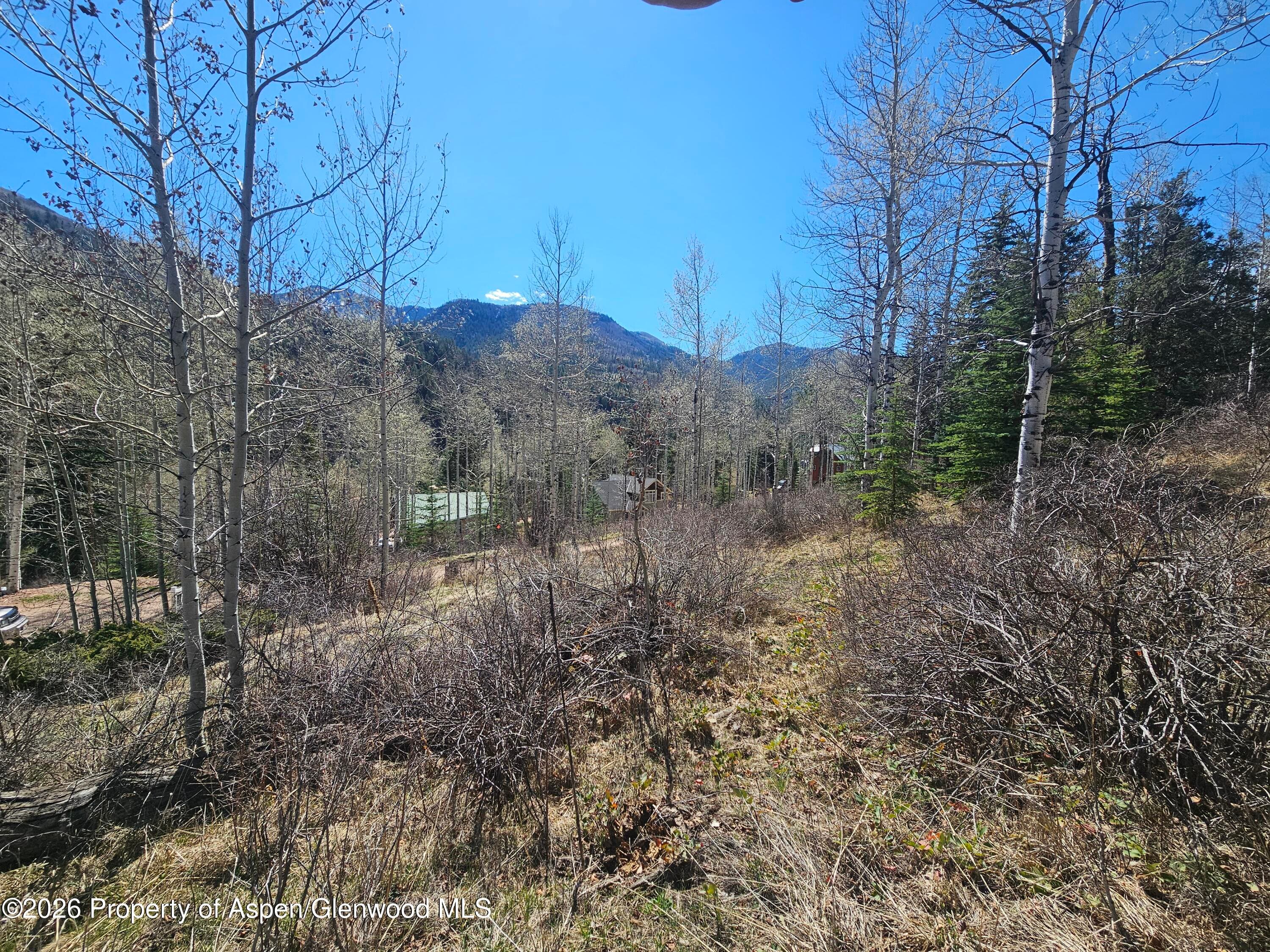 Tbd Bear Creek Lane, Redstone, CO 81623 - Photo 2