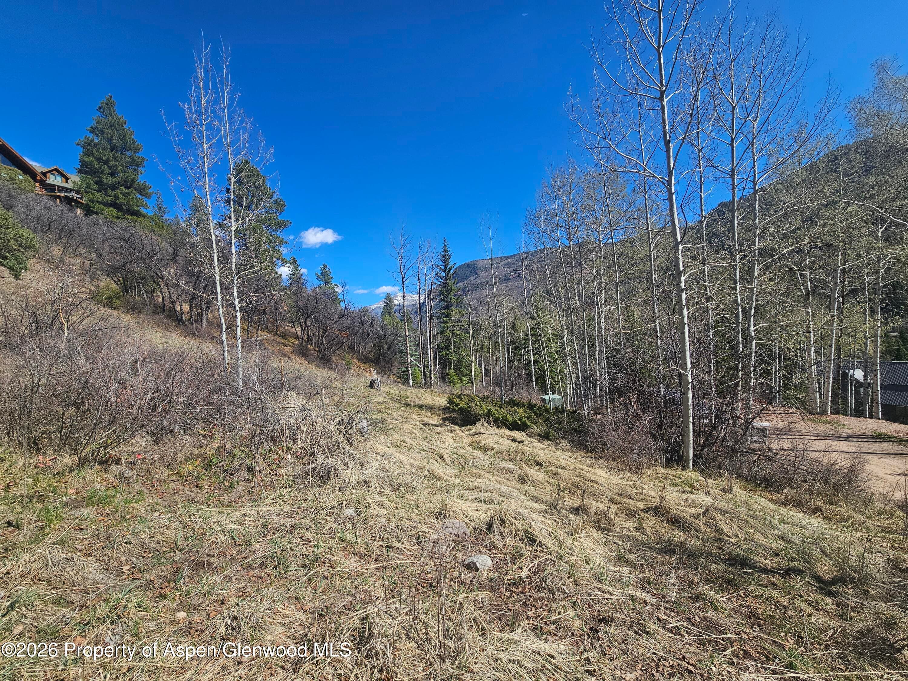 Tbd Bear Creek Lane, Redstone, CO 81623 - Photo 3