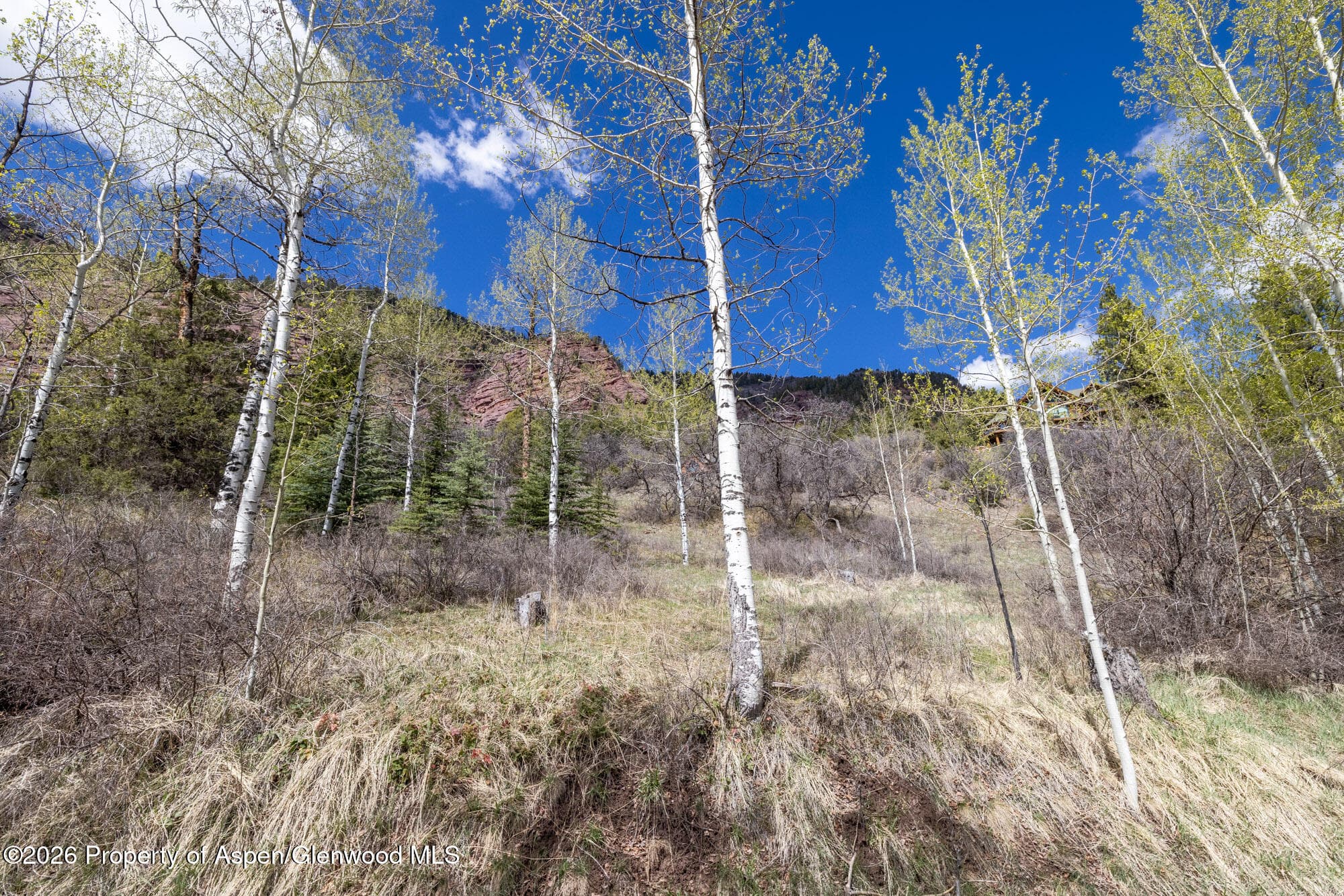 Tbd Bear Creek Lane, Redstone, CO 81623 - Photo 4