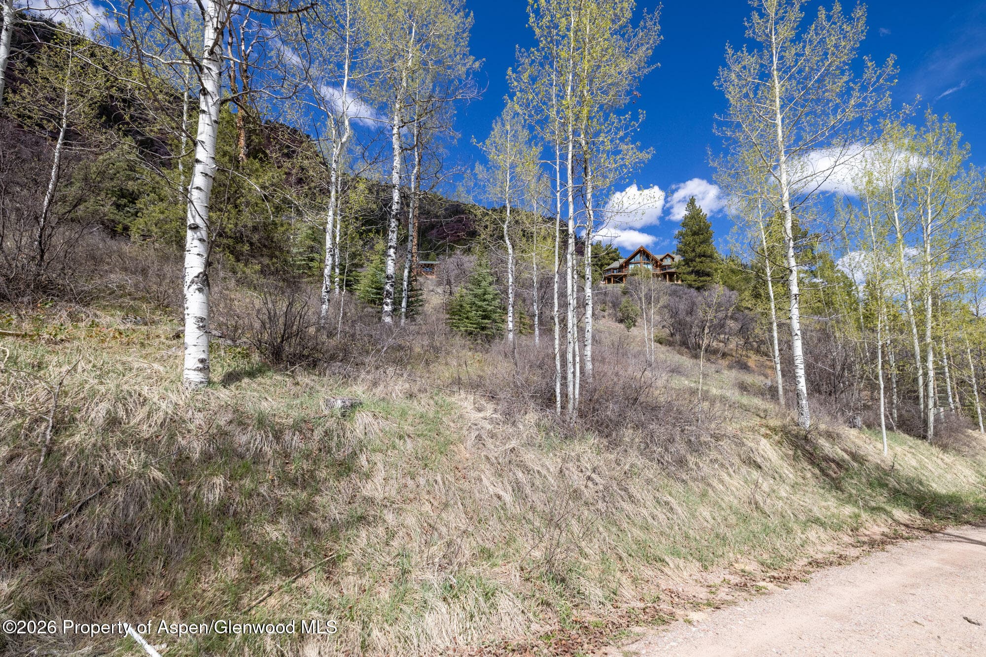 Tbd Bear Creek Lane, Redstone, CO 81623 - Photo 5