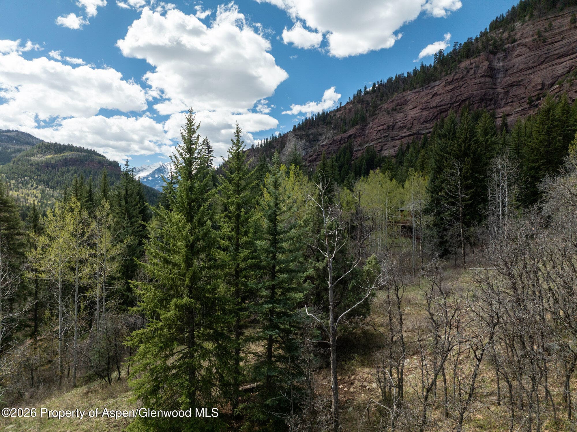 Tbd Bear Creek Lane, Redstone, CO 81623 - Photo 13