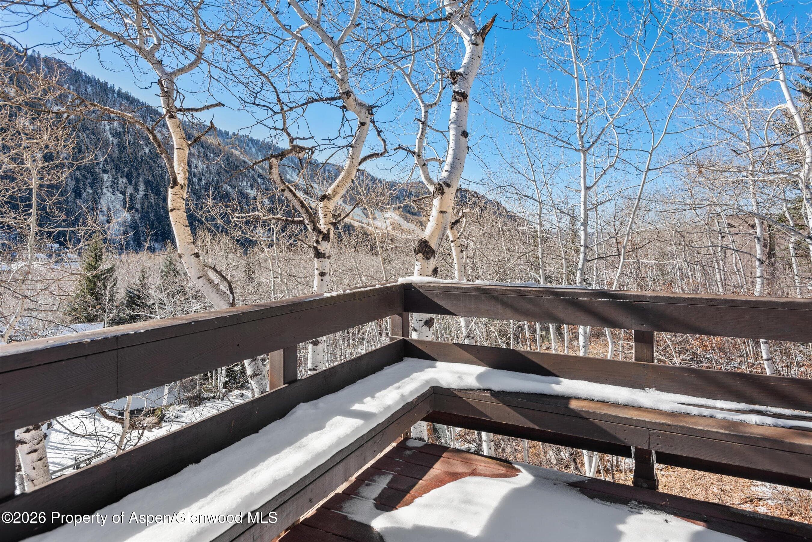 246 Roaring Fork Drive, Aspen, CO 81611 - Photo 15