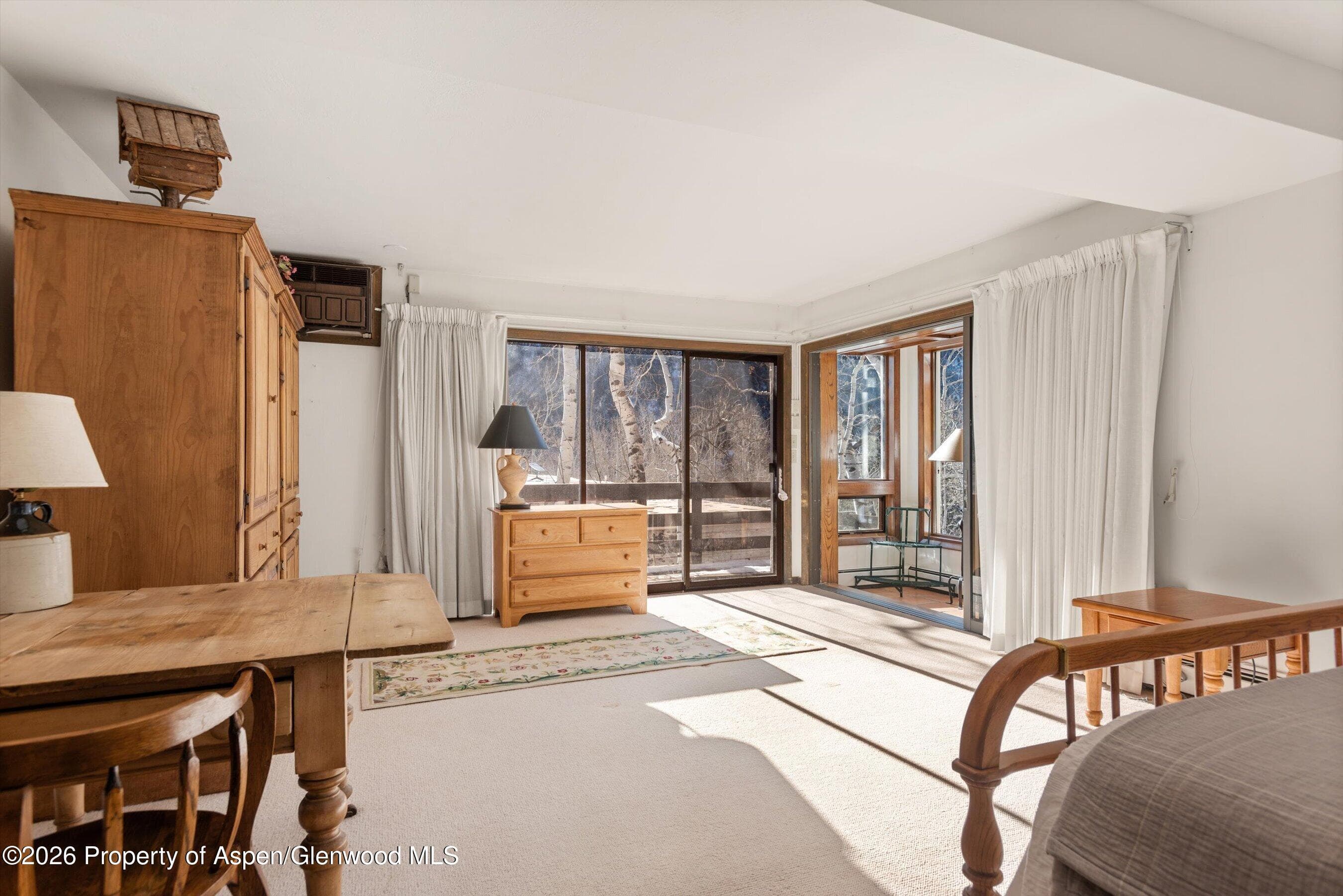 246 Roaring Fork Drive, Aspen, CO 81611 - Photo 19