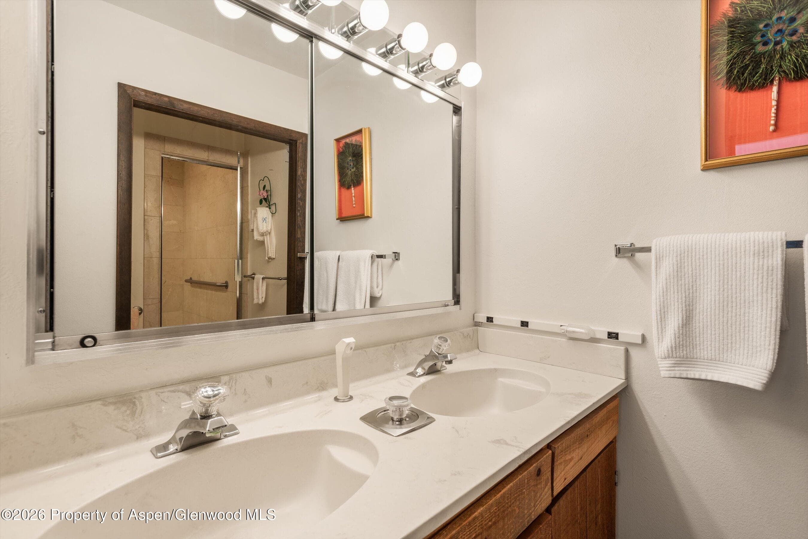 246 Roaring Fork Drive, Aspen, CO 81611 - Photo 21