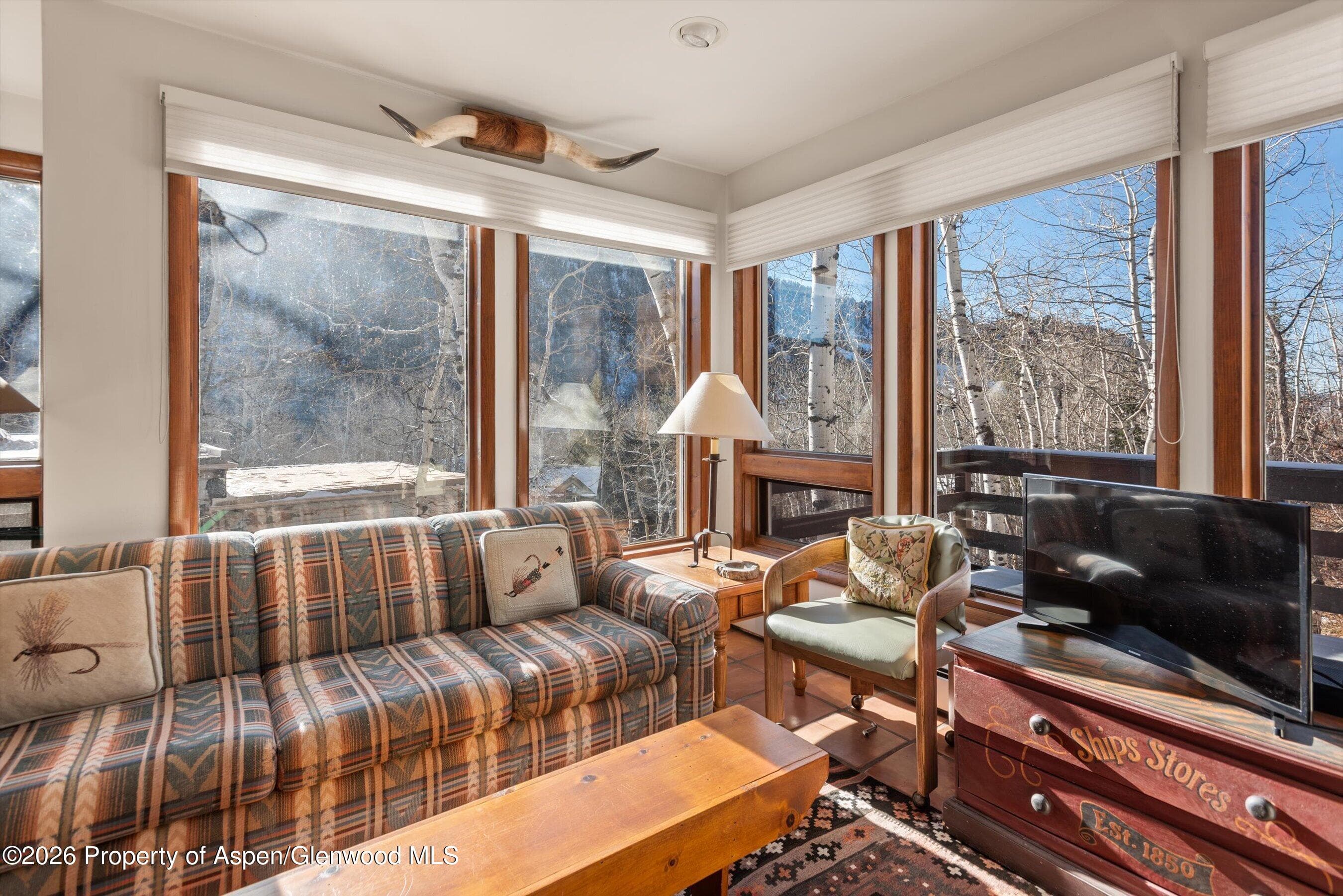 246 Roaring Fork Drive, Aspen, CO 81611 - Photo 23