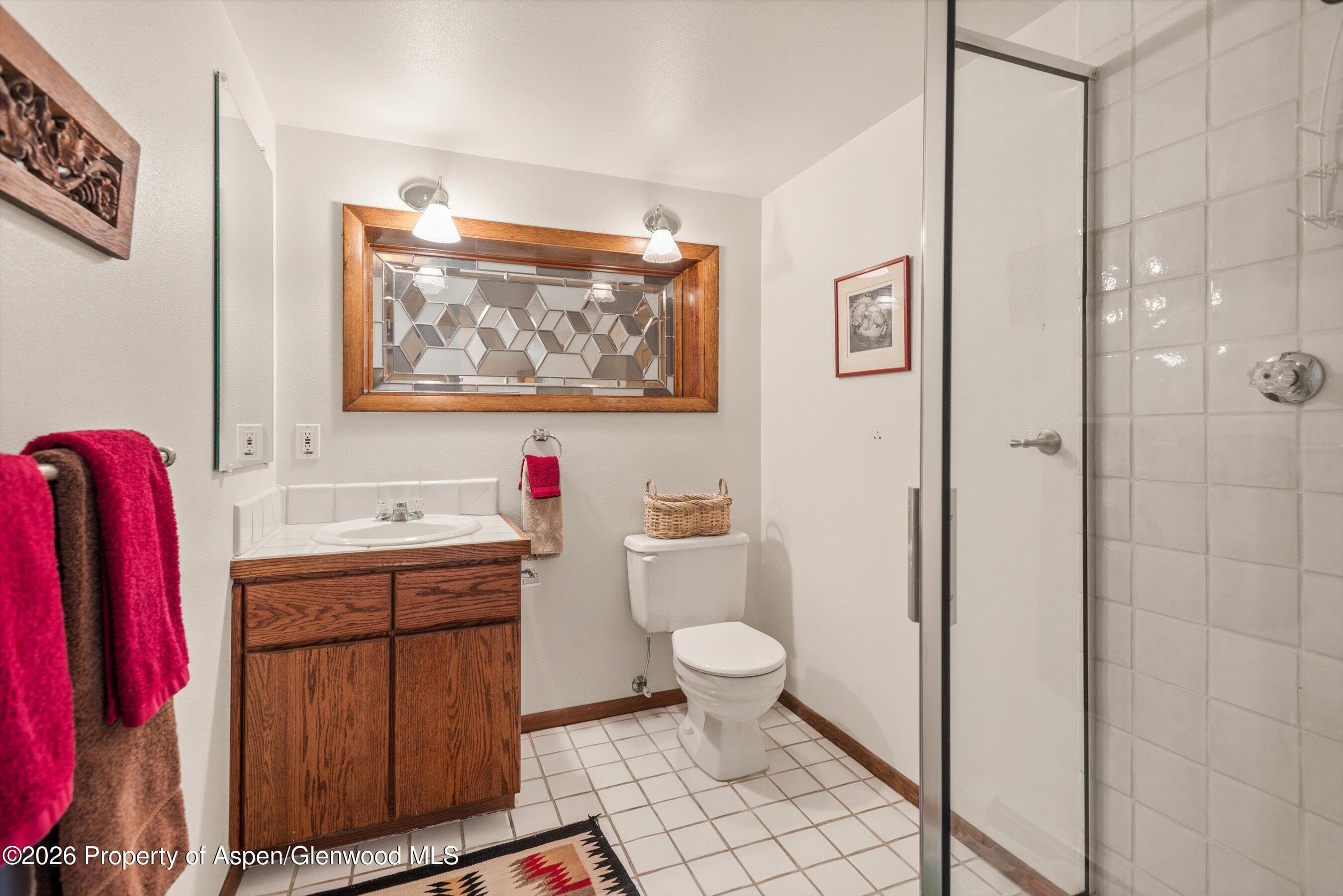 246 Roaring Fork Drive, Aspen, CO 81611 - Photo 25