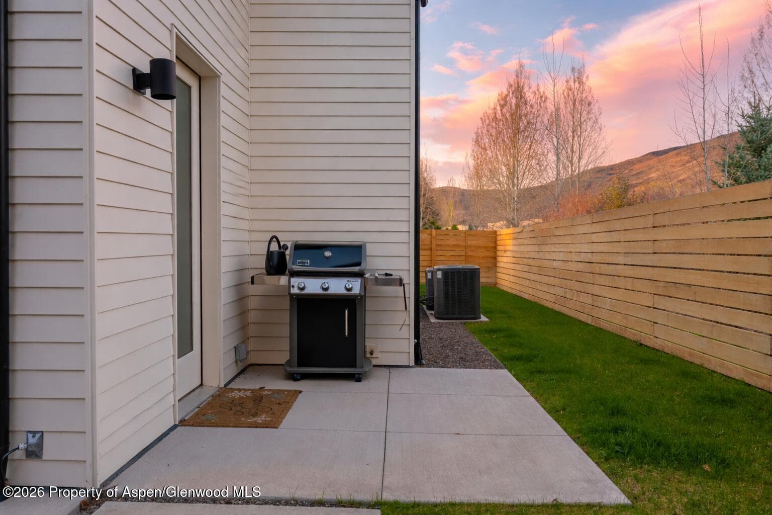 219 Juniper Court, Basalt, CO 81621 - Photo 21