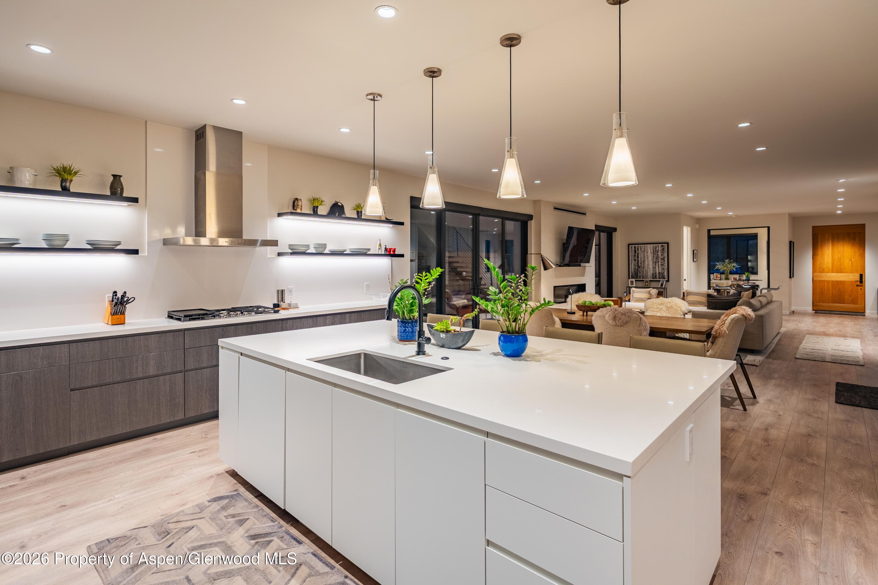 219 Juniper Court, Basalt, CO 81621 - Photo 8