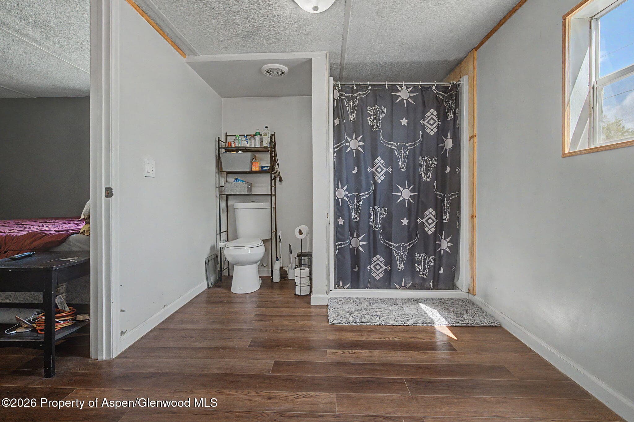 346 Greig Avenue, De Beque, CO 81630 - Photo 12