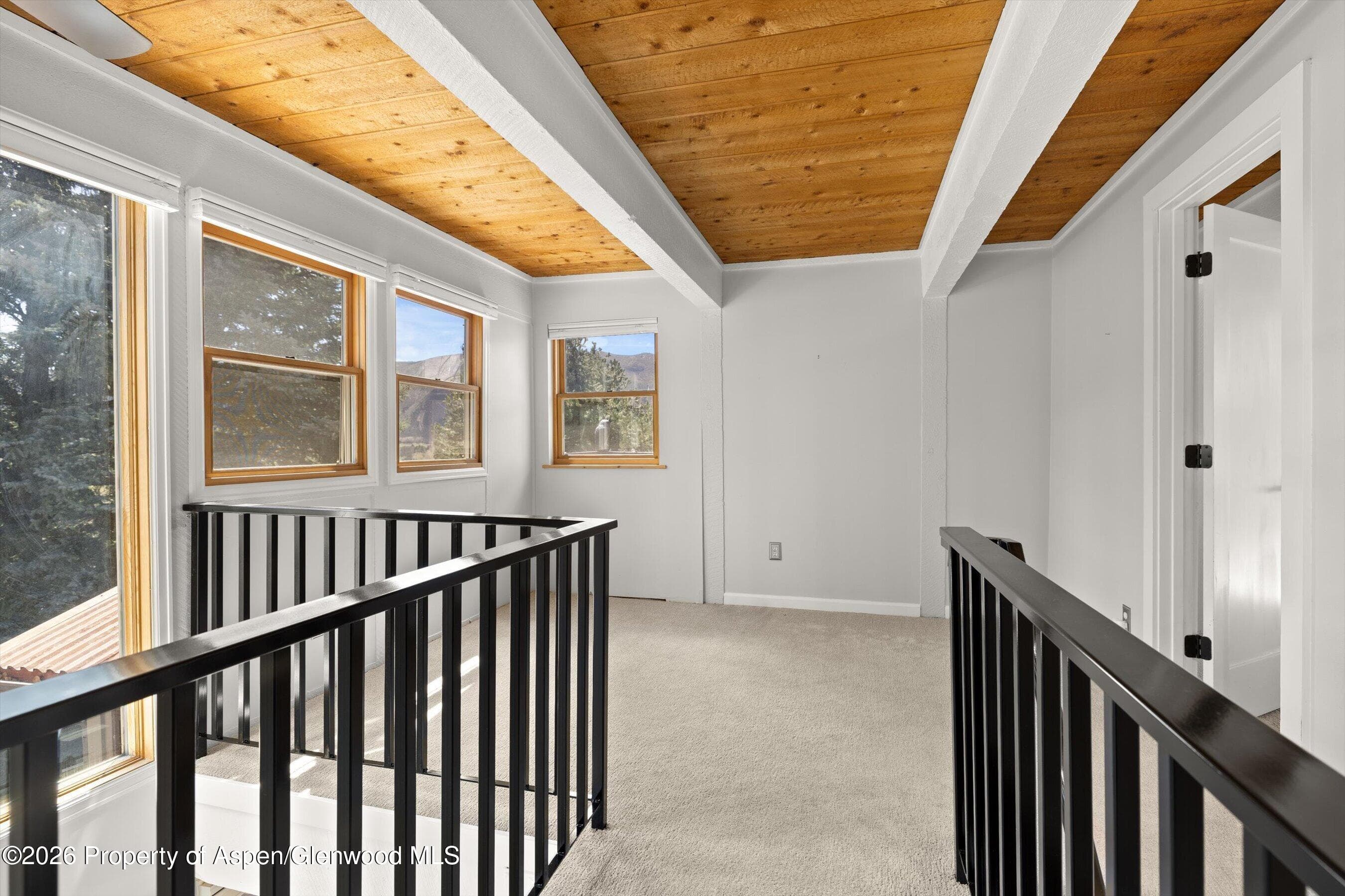 217 Longhorn Lane, Basalt, CO 81621 - Photo 4