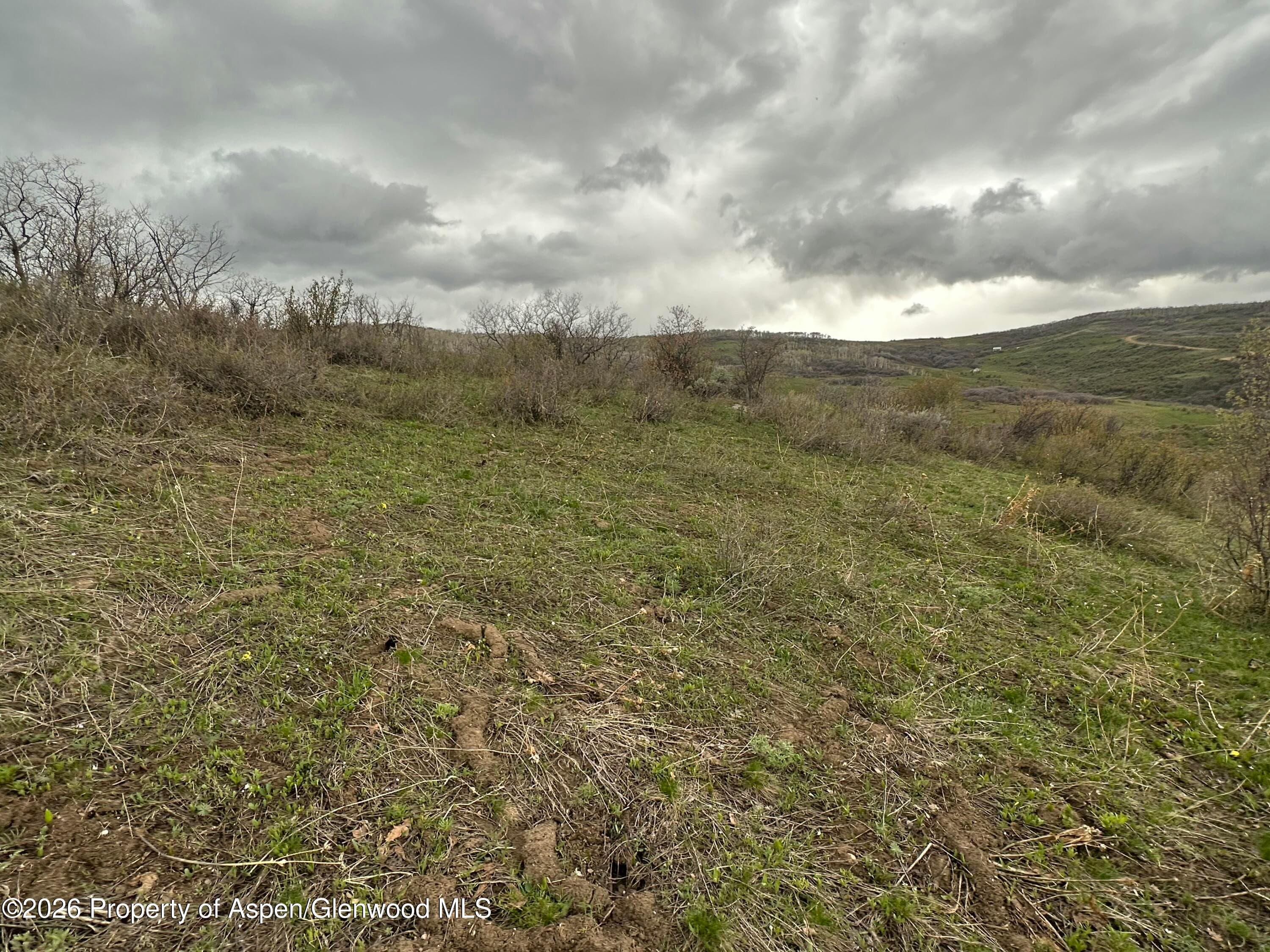 3511 Timberlane Drive, Craig, CO 81625 - Photo 4