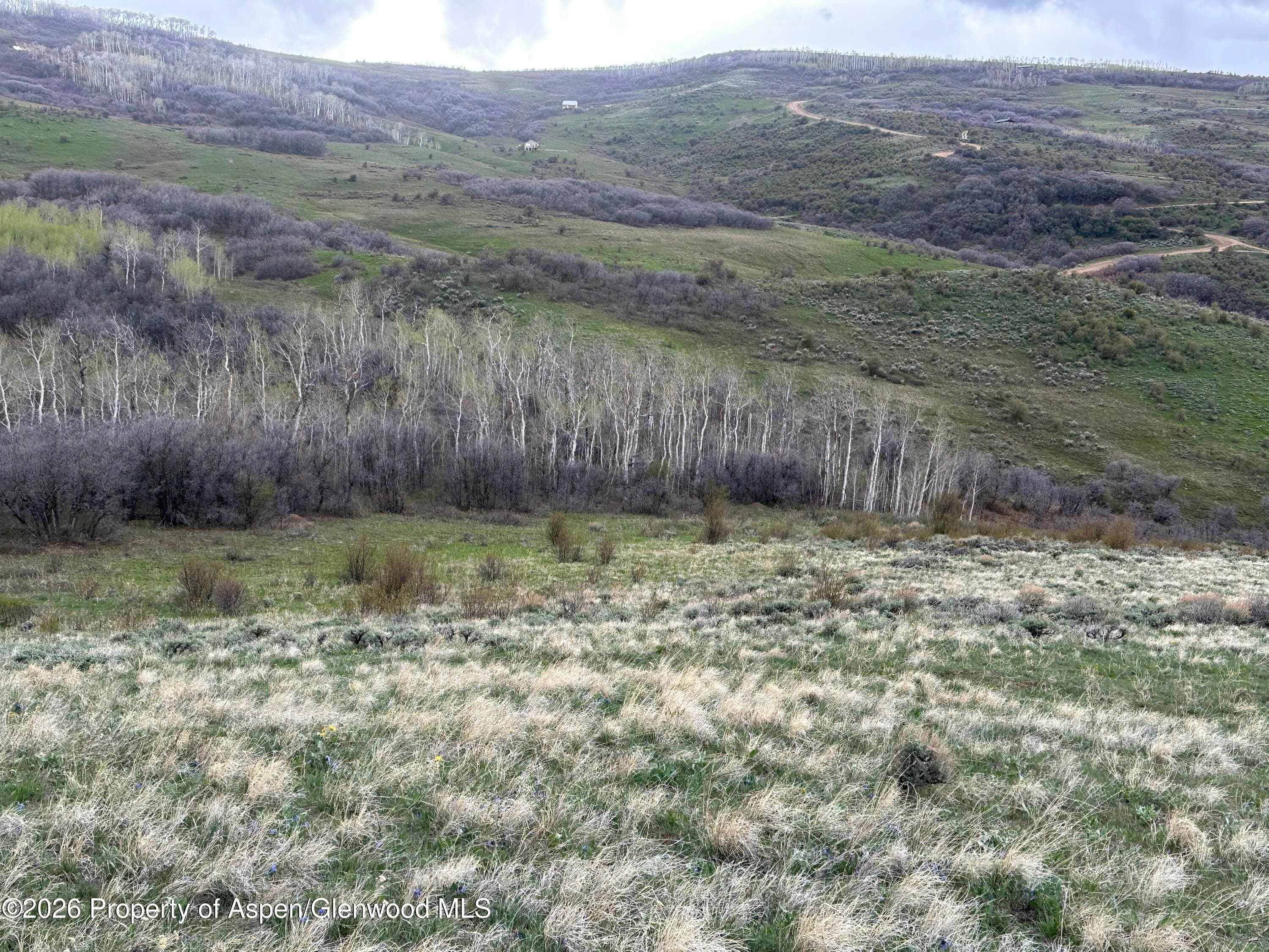 3511 Timberlane Drive, Craig, CO 81625 - Photo 8