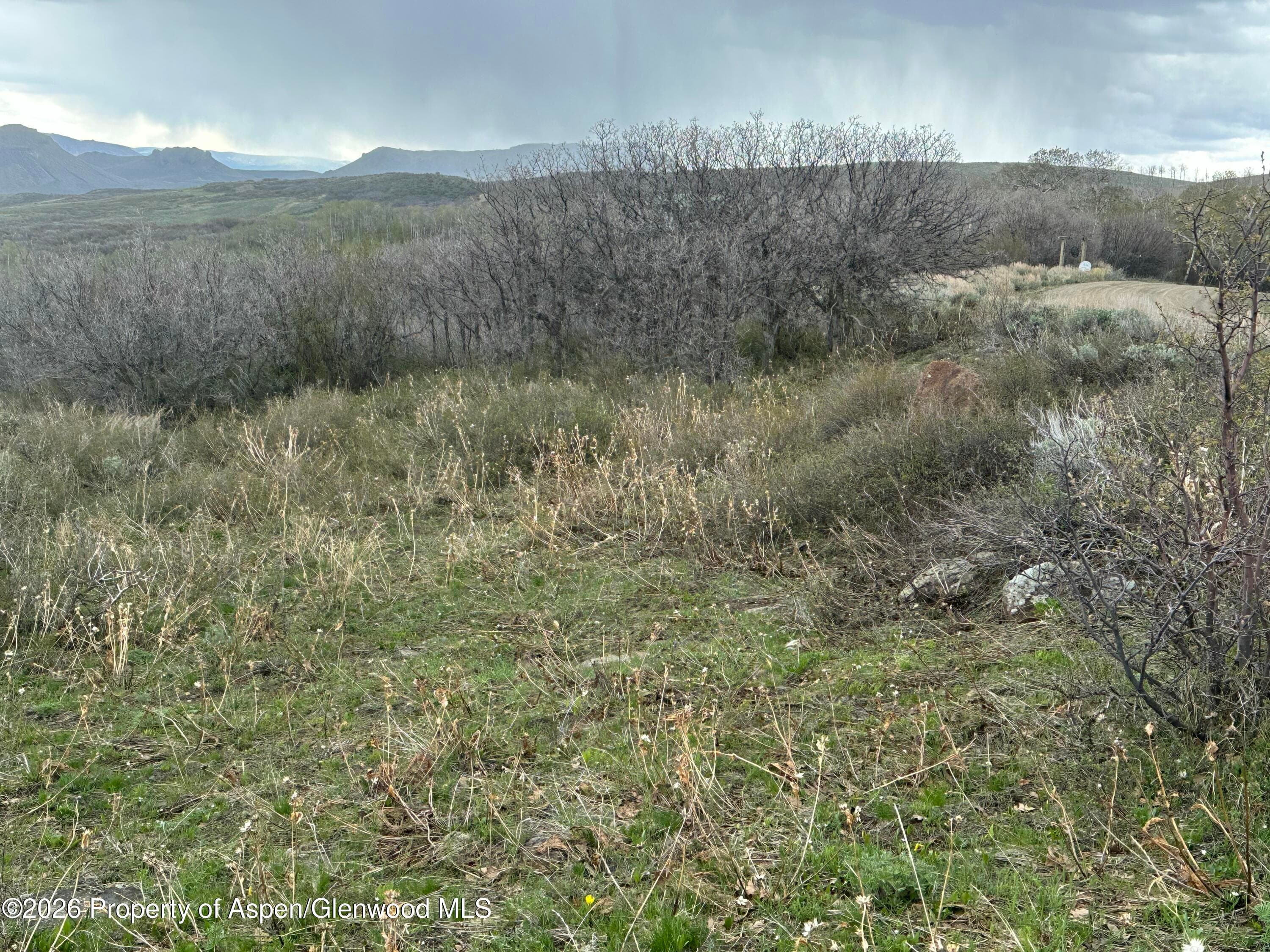 3511 Timberlane Drive, Craig, CO 81625 - Photo 9