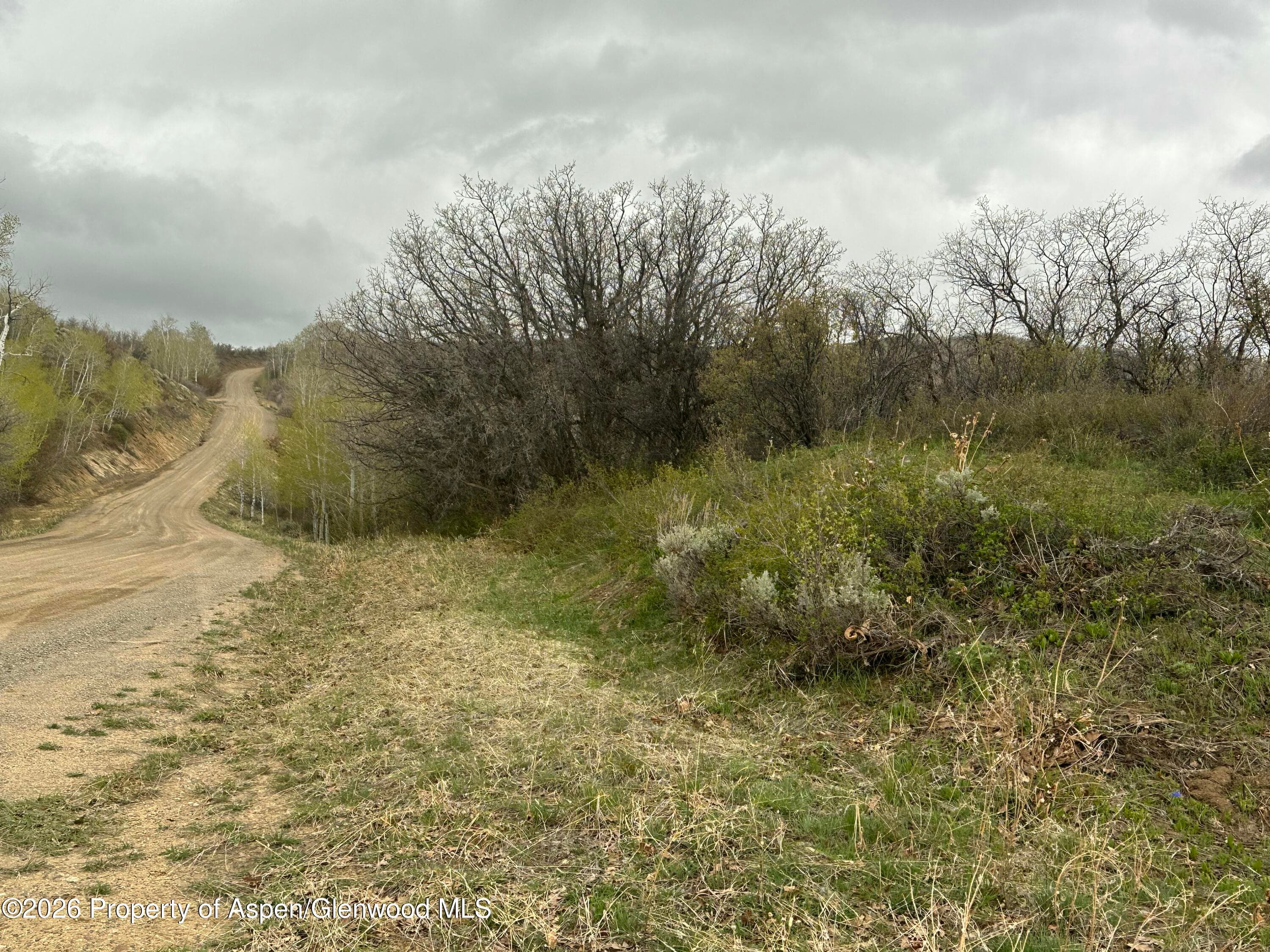 3511 Timberlane Drive, Craig, CO 81625 - Photo 10