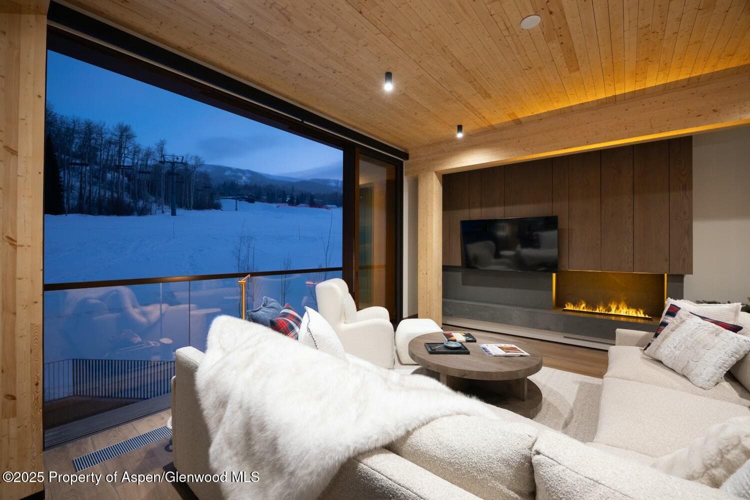 180 Wood Road 302, Snowmass Village, CO 81615 - Photo 9