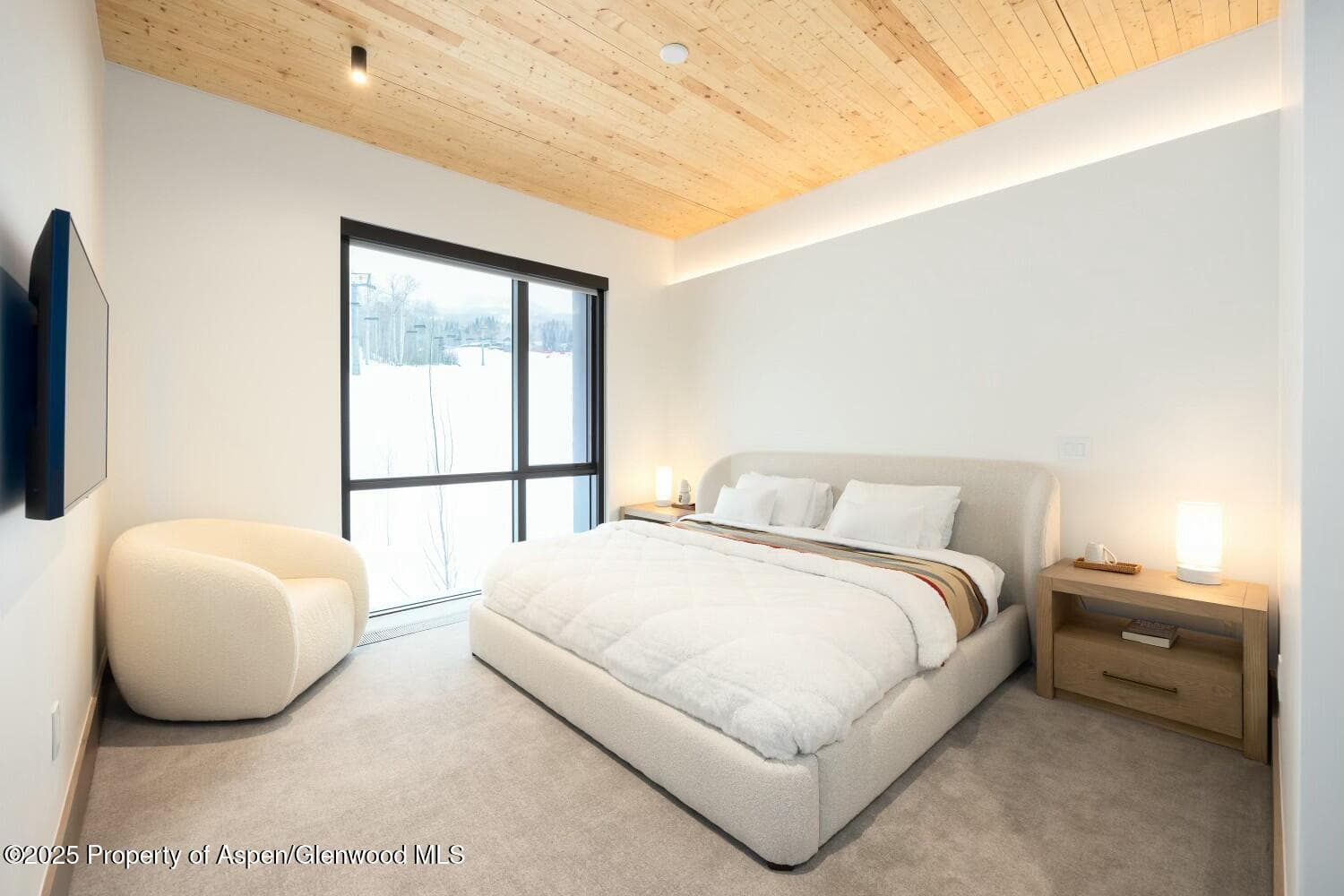 180 Wood Road 302, Snowmass Village, CO 81615 - Photo 14