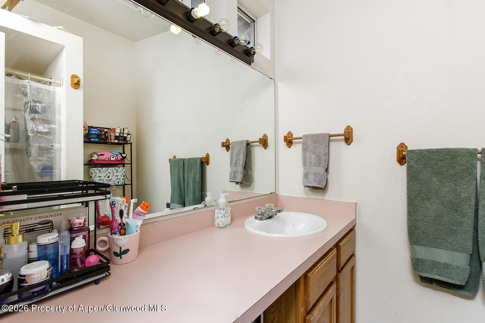 1420 Orchard Avenue, Silt, CO 81652 - Photo 11