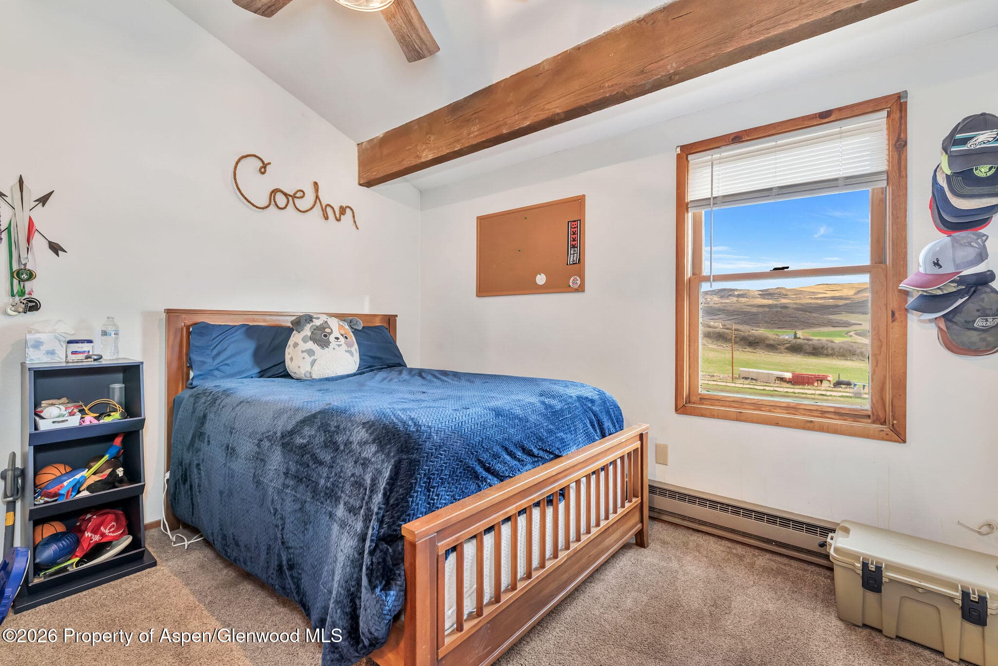 224 Meadow Lane, Craig, CO 81625 - Photo 27
