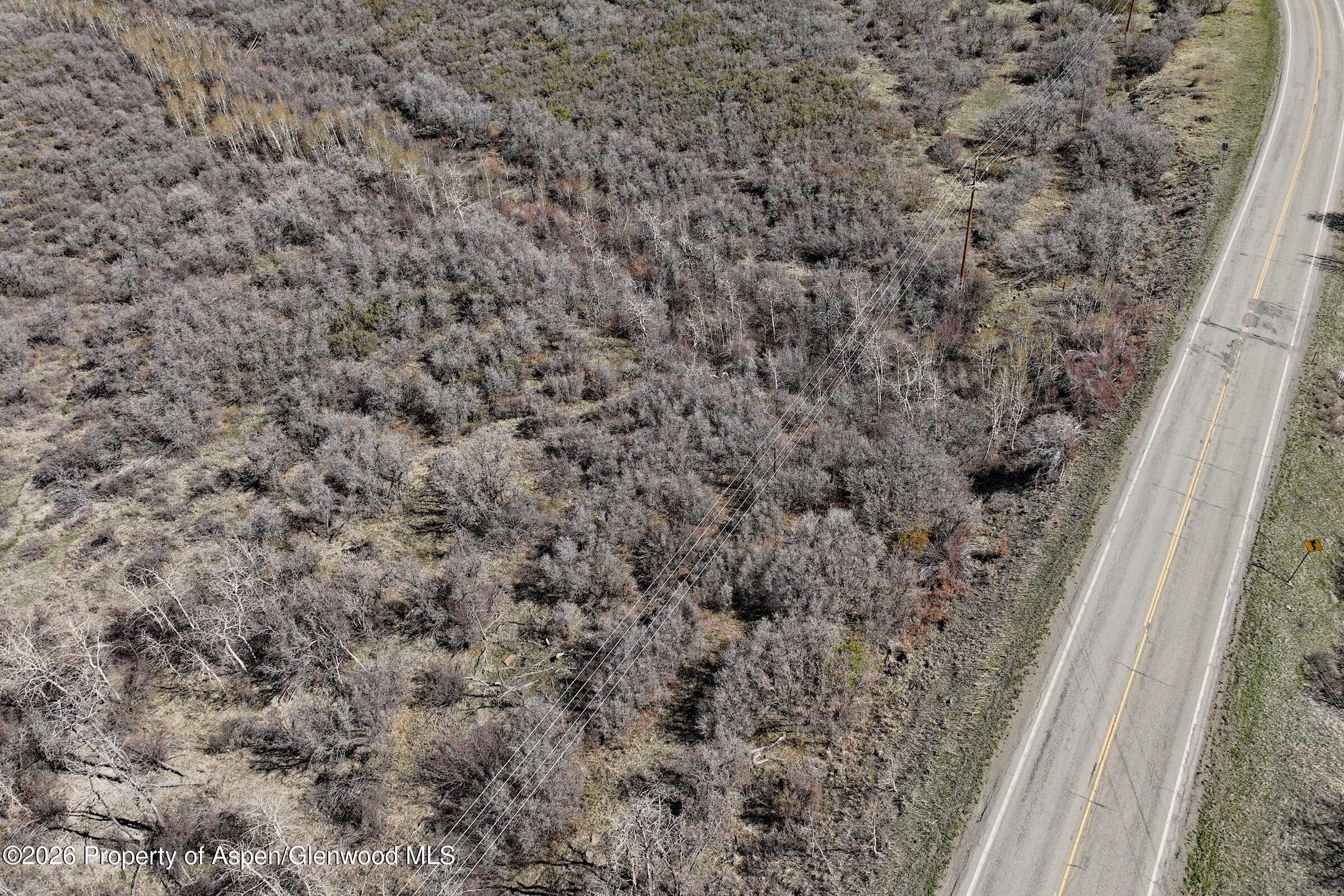 5962 Colorado 65, Mesa, CO 81643 - Photo 8