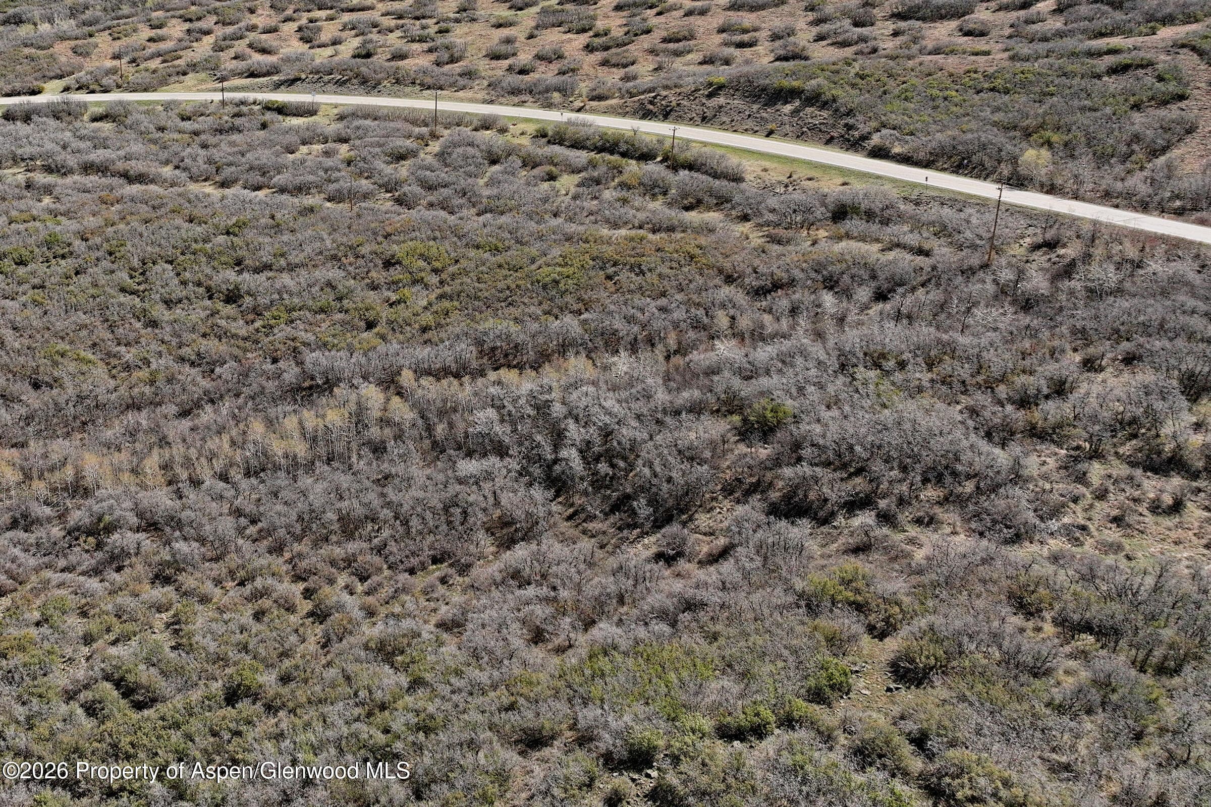 5962 Colorado 65, Mesa, CO 81643 - Photo 10