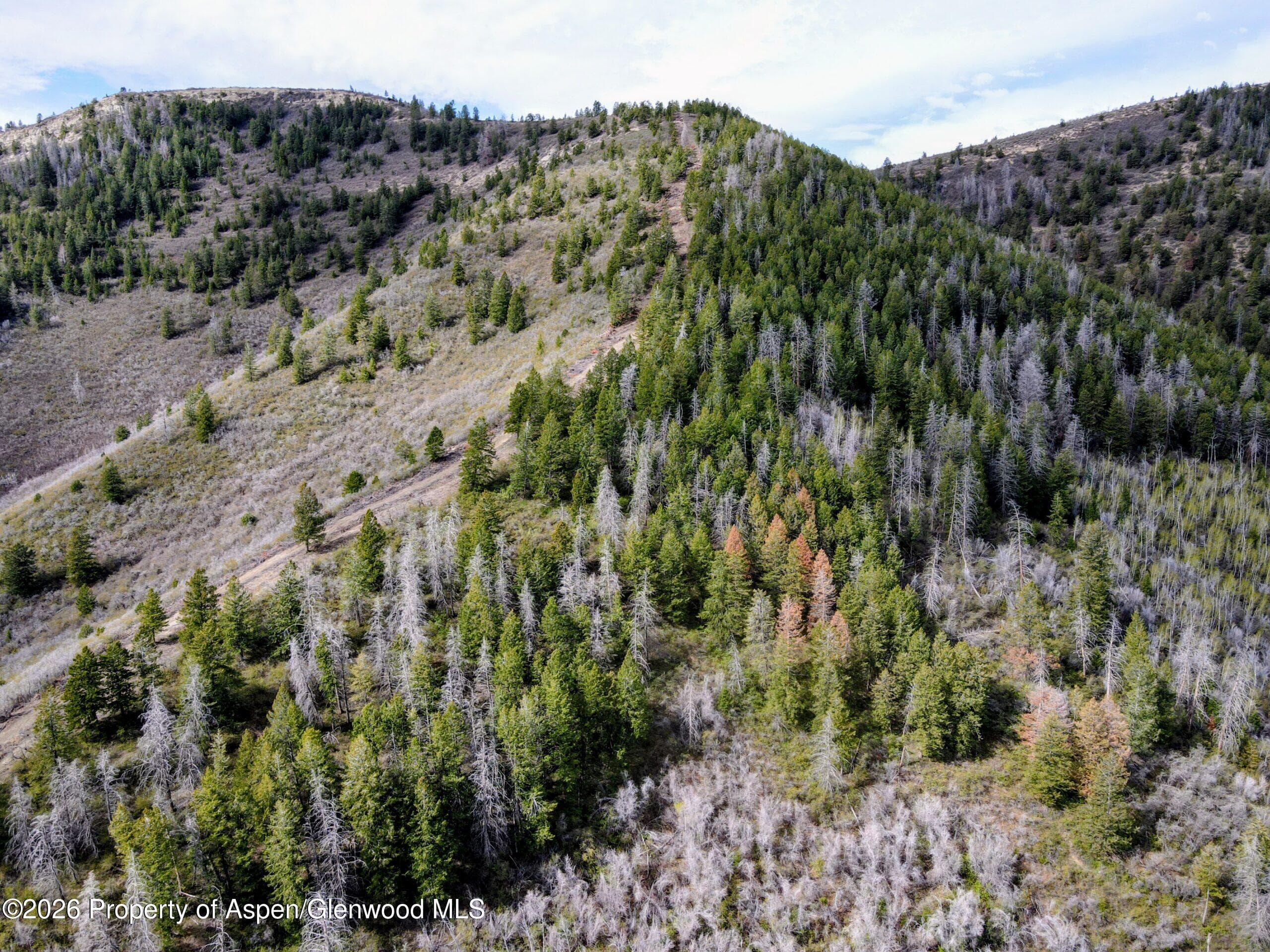Tbd Highway 13, Rifle, CO 81650 - Photo 8