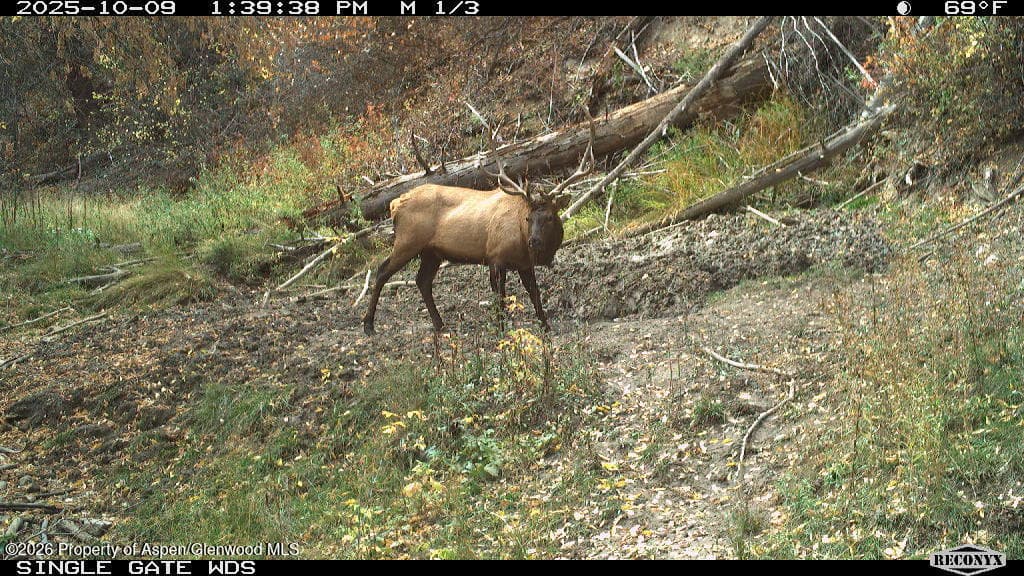 Tbd Highway 13, Rifle, CO 81650 - Photo 10