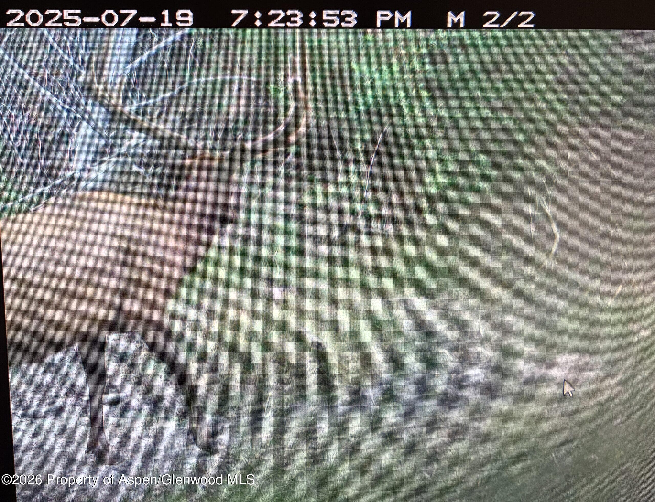 Tbd Highway 13, Rifle, CO 81650 - Photo 14