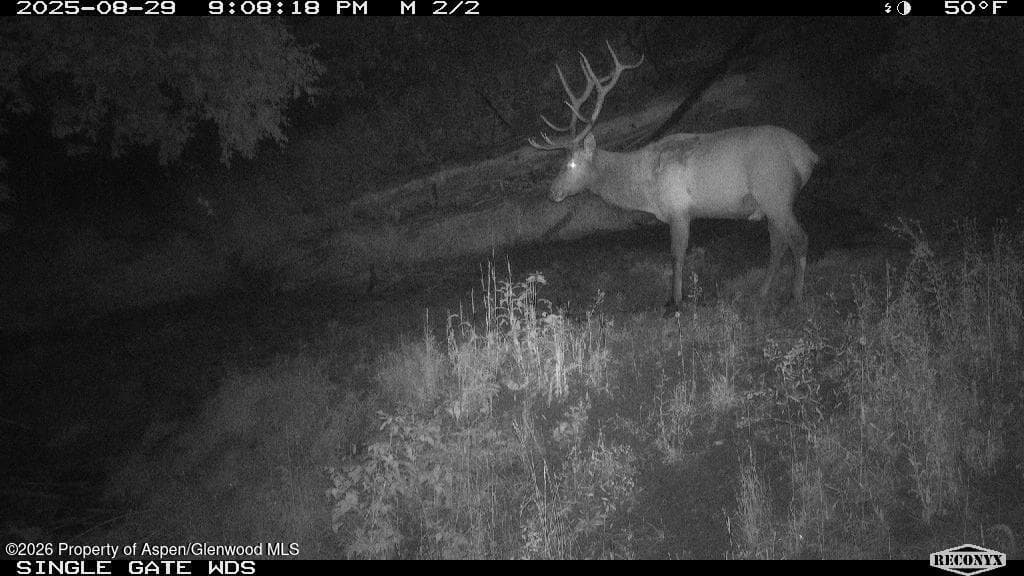 Tbd Highway 13, Rifle, CO 81650 - Photo 19