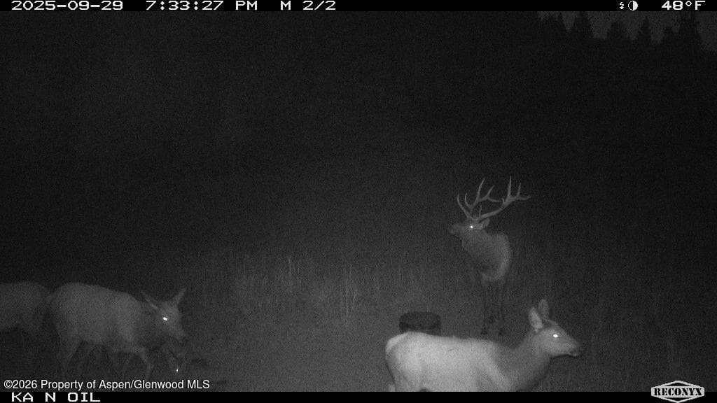 Tbd Highway 13, Rifle, CO 81650 - Photo 20