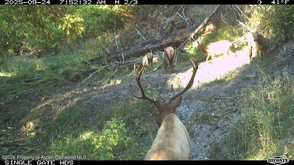 Tbd Highway 13, Rifle, CO 81650 - Photo 25