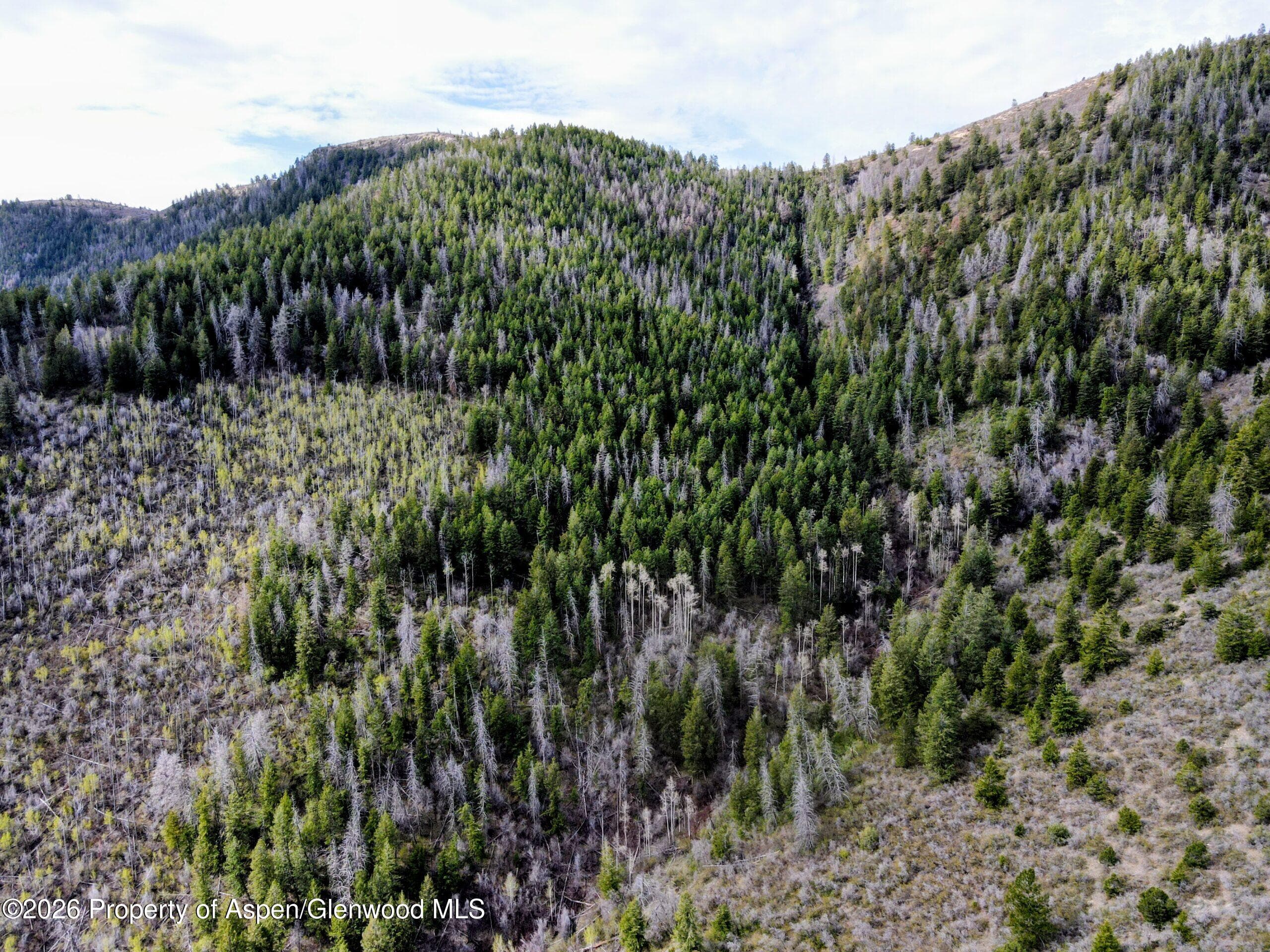 Tbd Highway 13, Rifle, CO 81650 - Photo 31