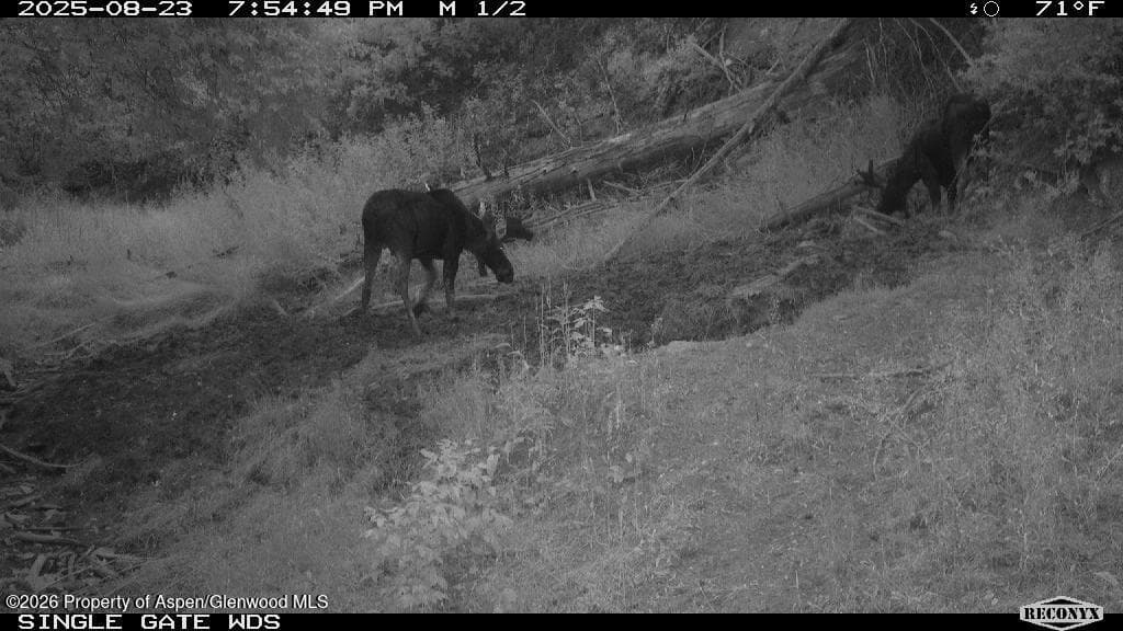Tbd Highway 13, Rifle, CO 81650 - Photo 34
