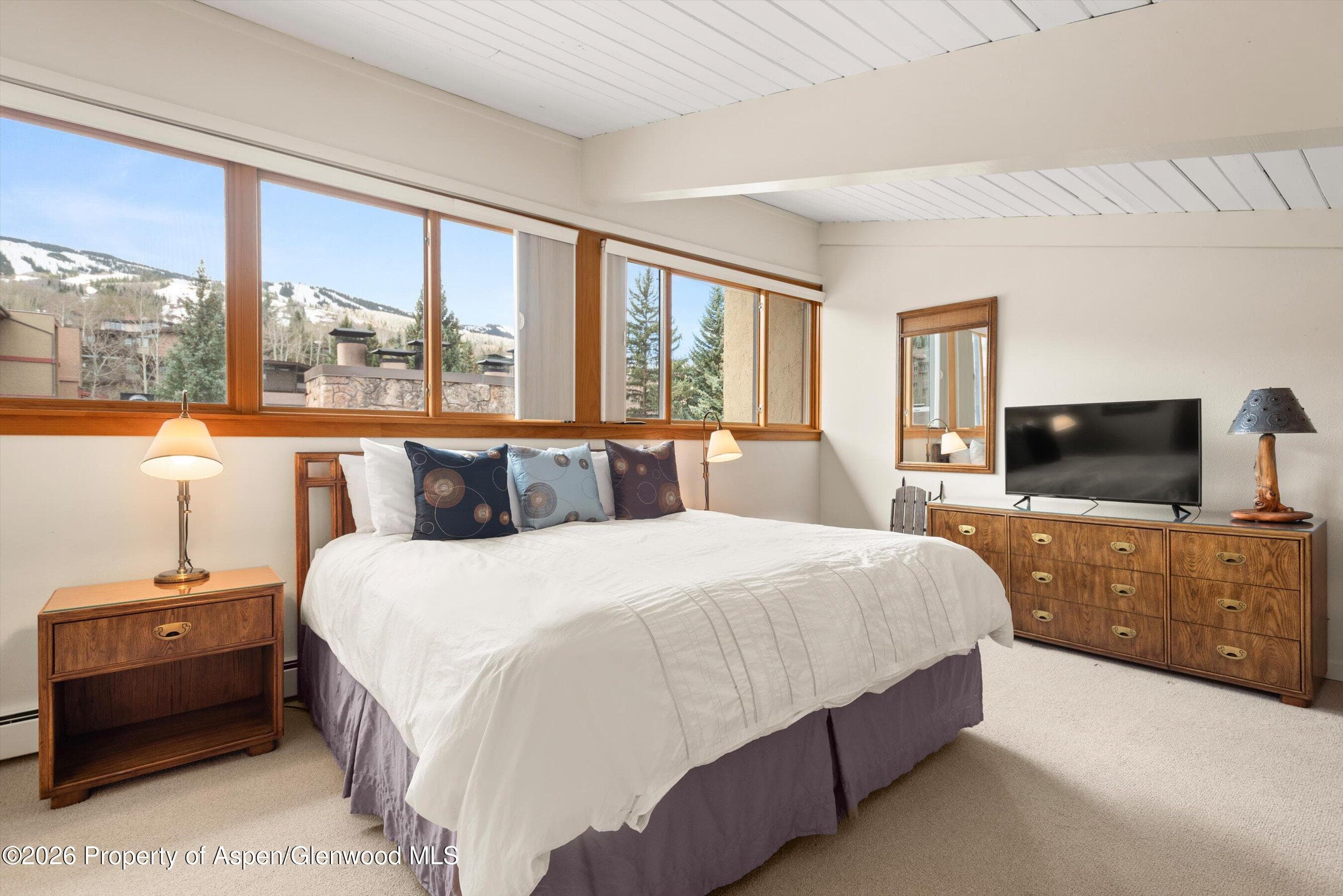 30 Anderson Lane #826, Snowmass Village, CO 81615 - Photo 19