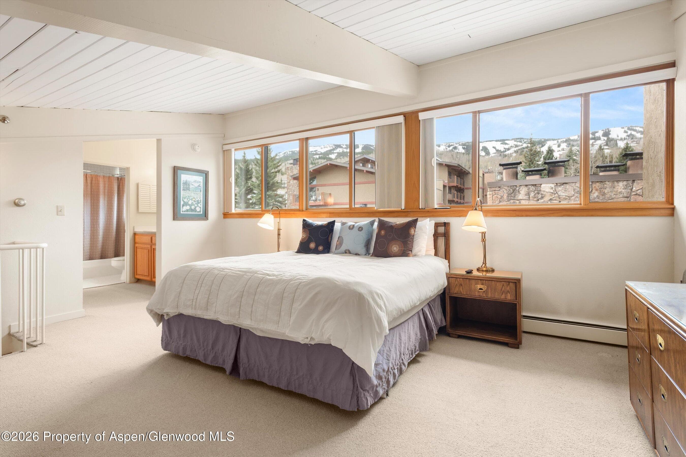 30 Anderson Lane #826, Snowmass Village, CO 81615 - Photo 21