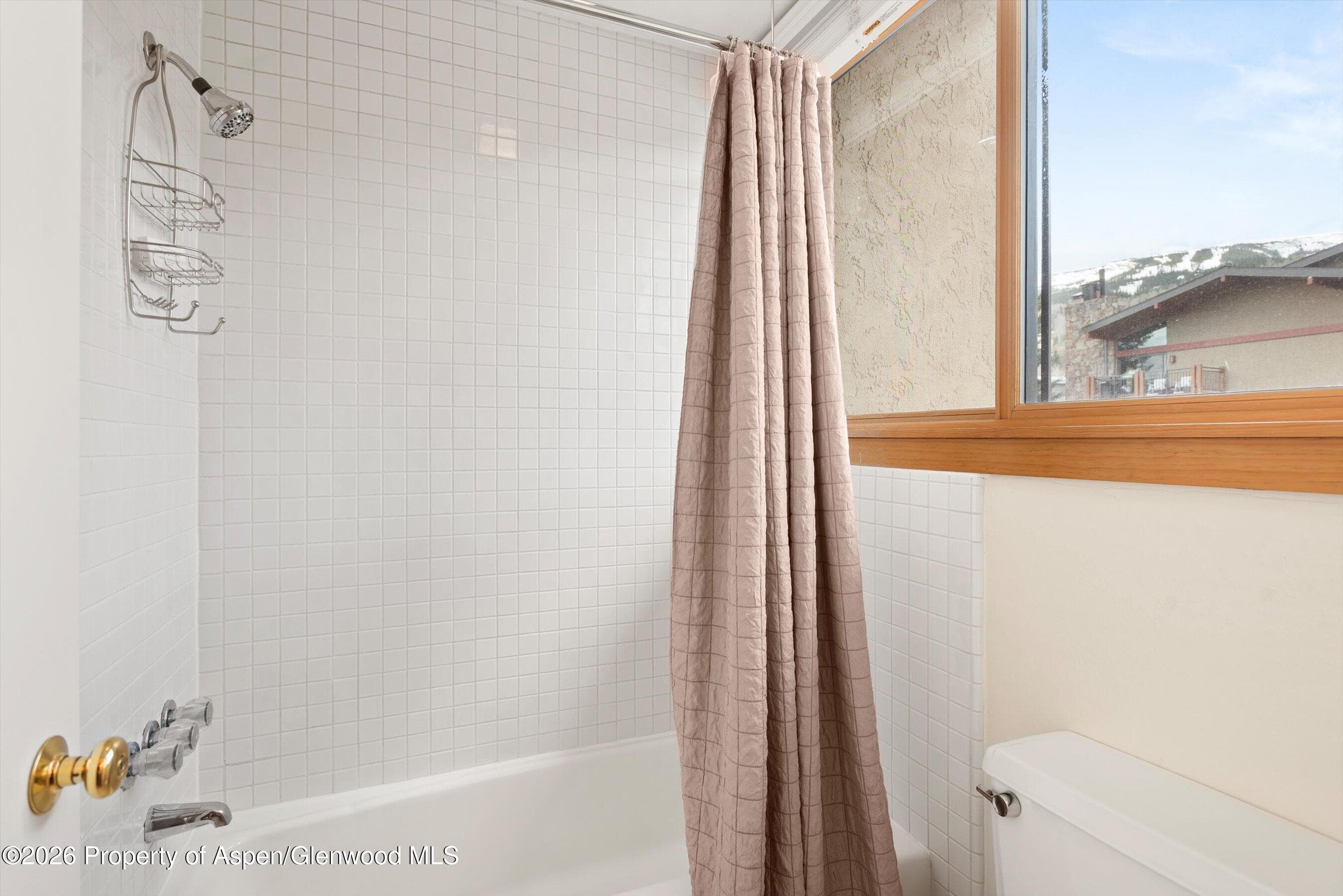 30 Anderson Lane #826, Snowmass Village, CO 81615 - Photo 23