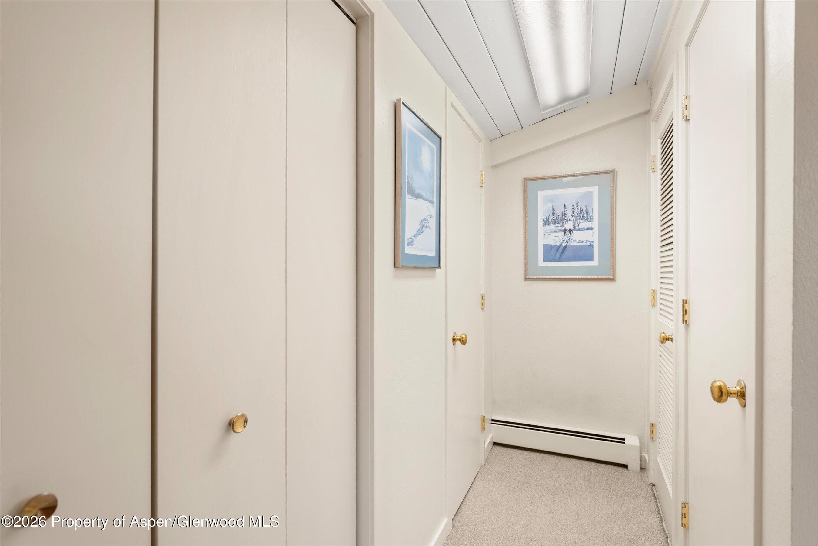 30 Anderson Lane #826, Snowmass Village, CO 81615 - Photo 24