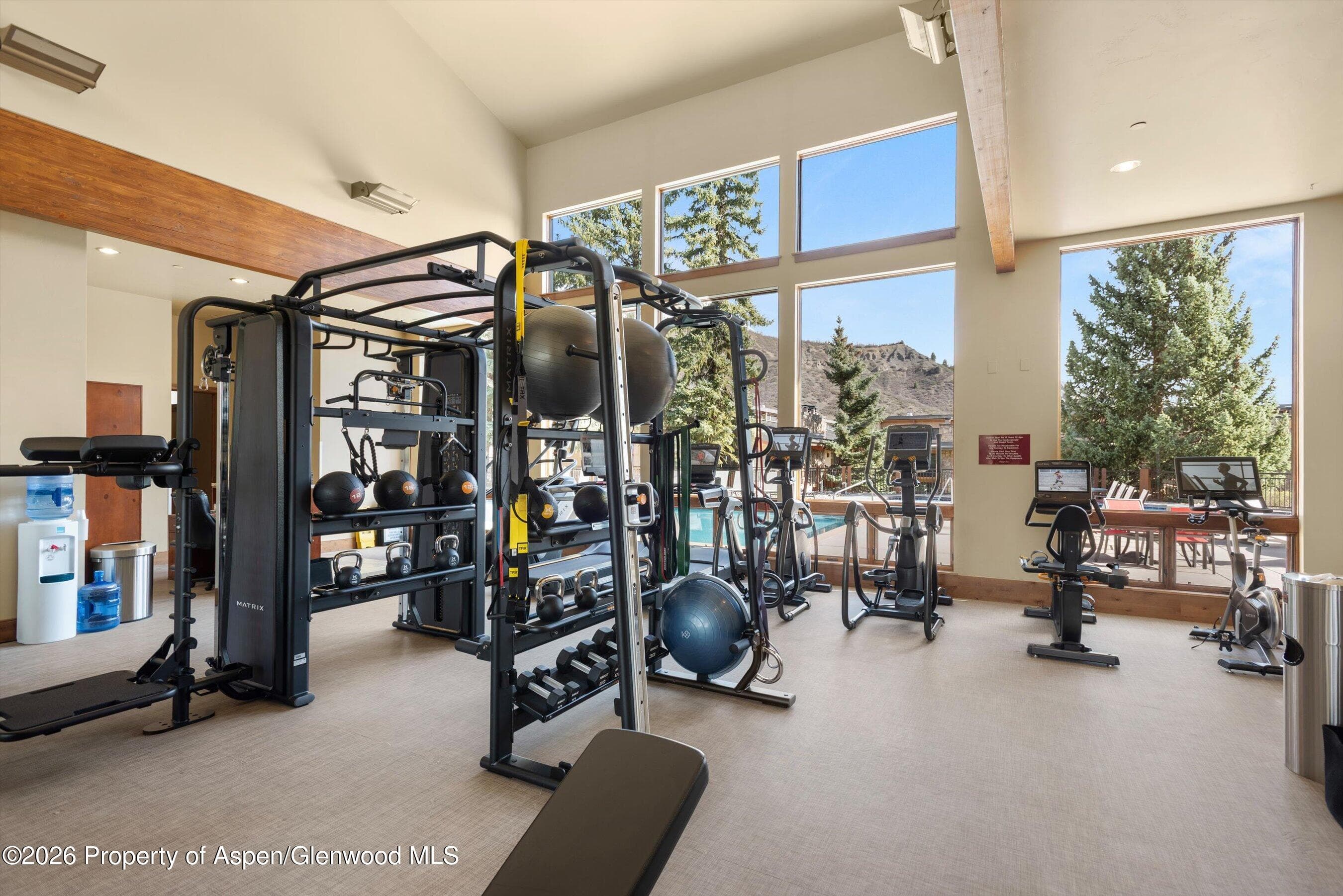 30 Anderson Lane #826, Snowmass Village, CO 81615 - Photo 30