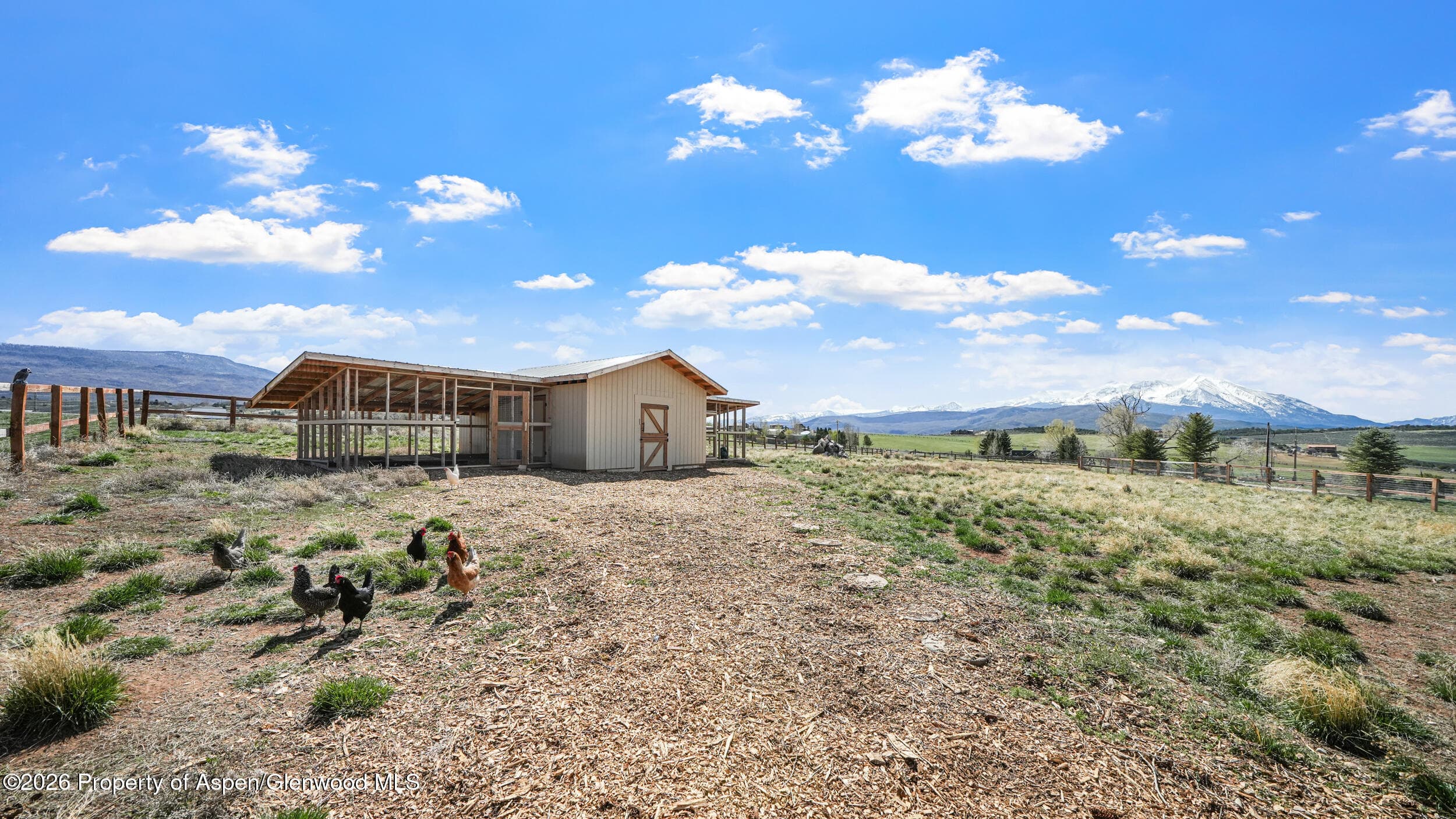 893 County Road 102, Carbondale, CO 81623 - Photo 71