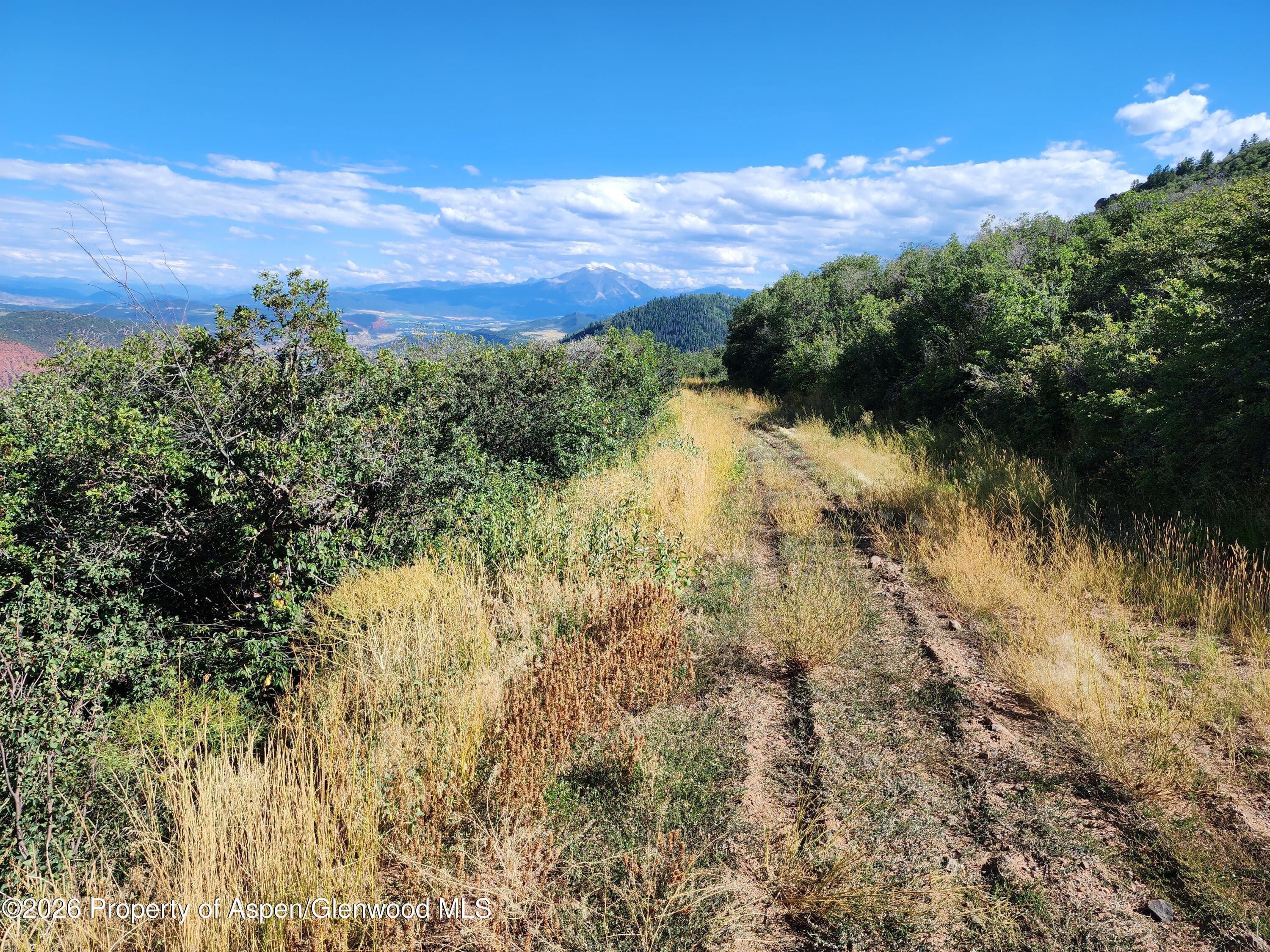 4700 Bear Wallow Lane, Glenwood Springs, CO 81601 - Photo 6