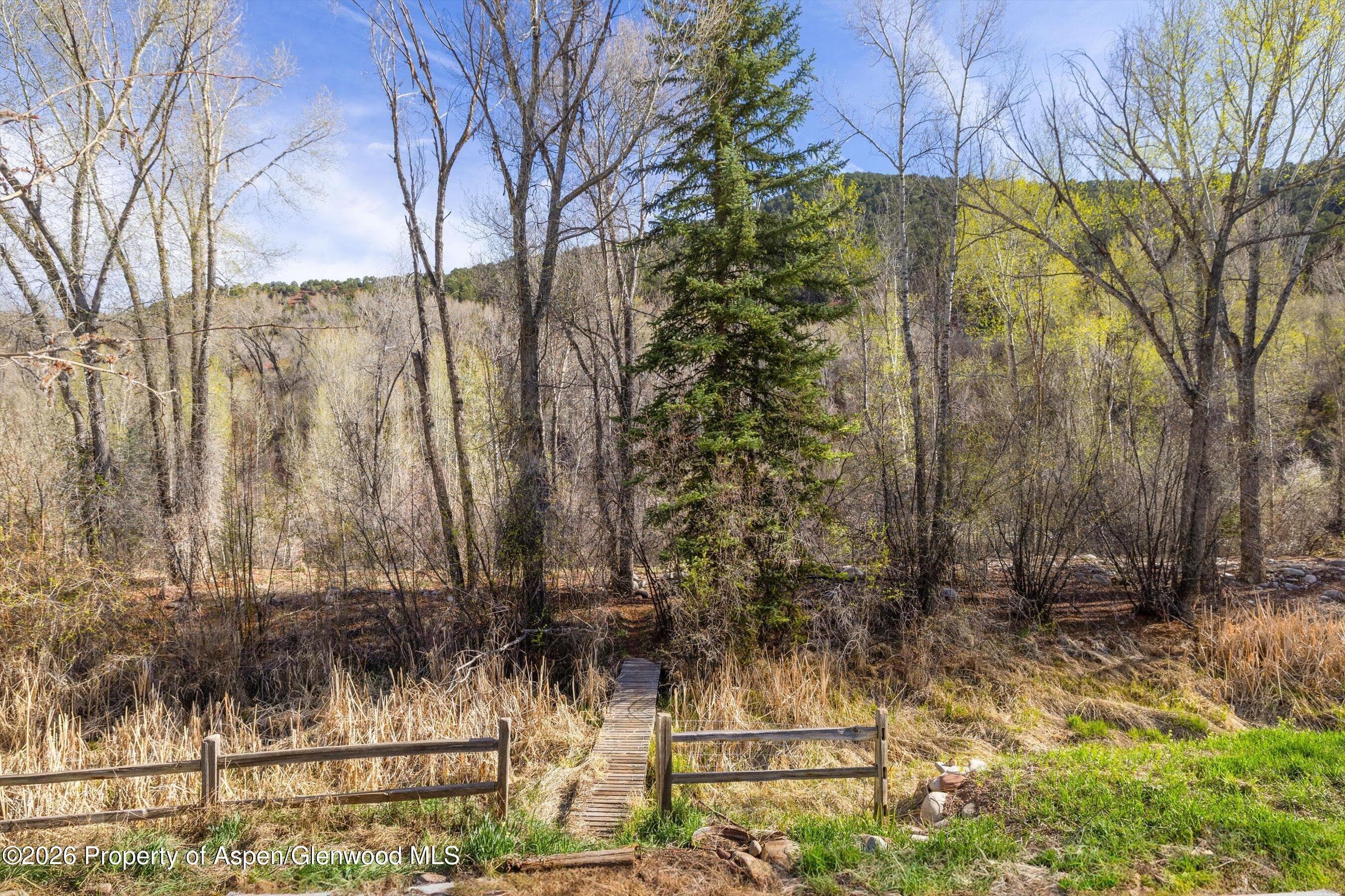 31 Lazy Glen, Snowmass, CO 81654 - Photo 14