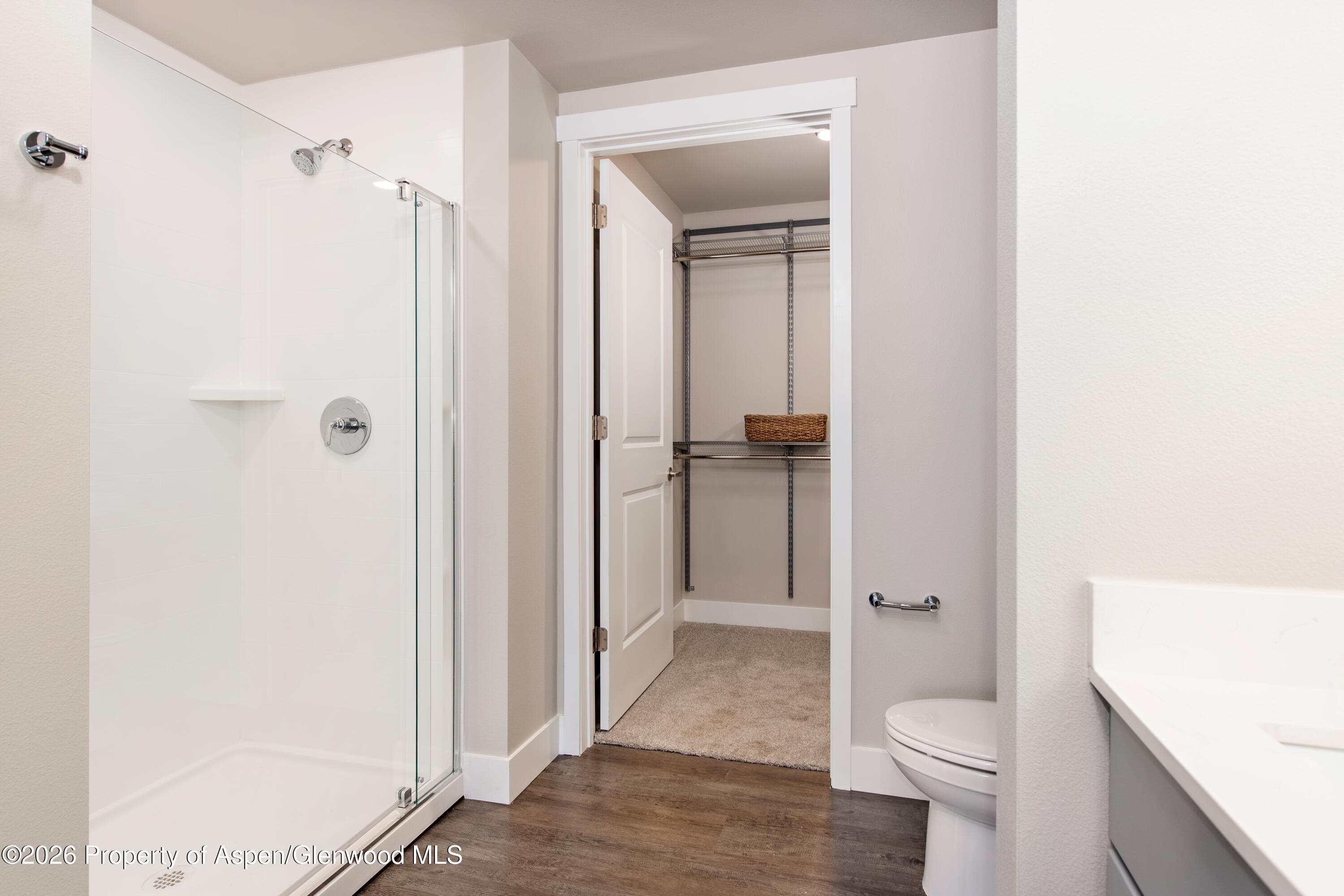 253 Wulfsohn Road 316, Glenwood Springs, CO 81601 - Photo 12
