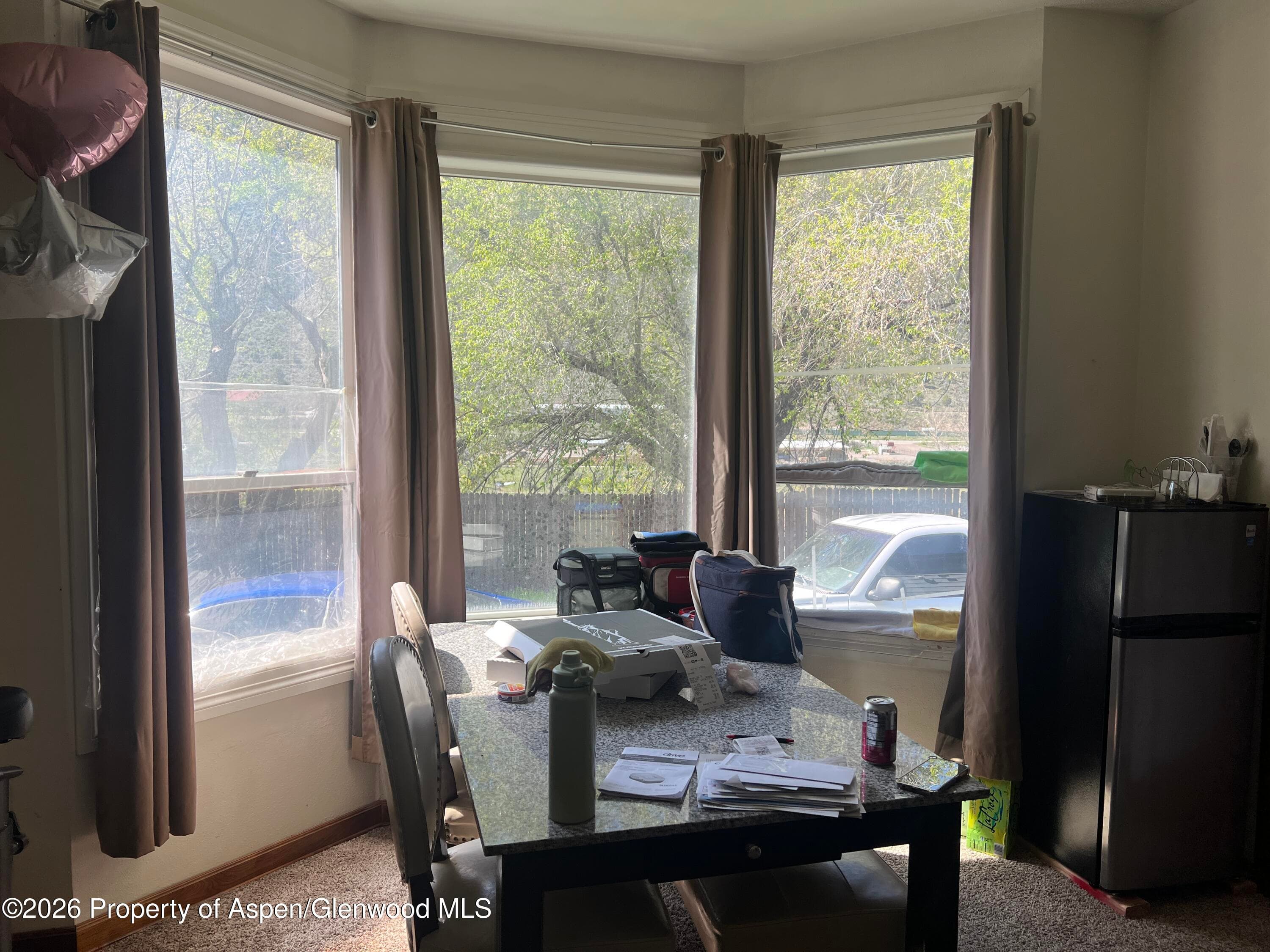 221 S E Avenue, New Castle, CO 81647 - Photo 7