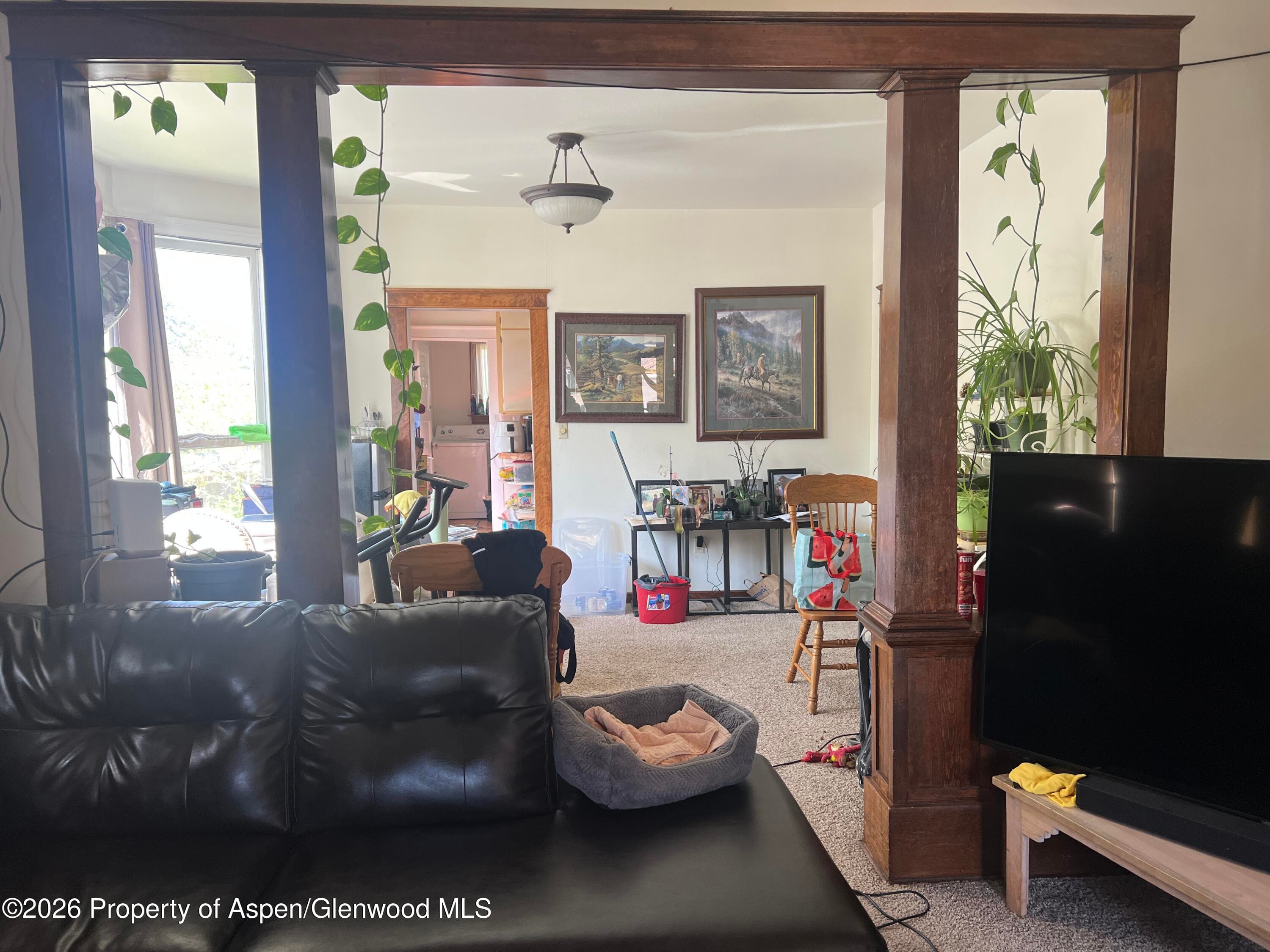 221 S E Avenue, New Castle, CO 81647 - Photo 5