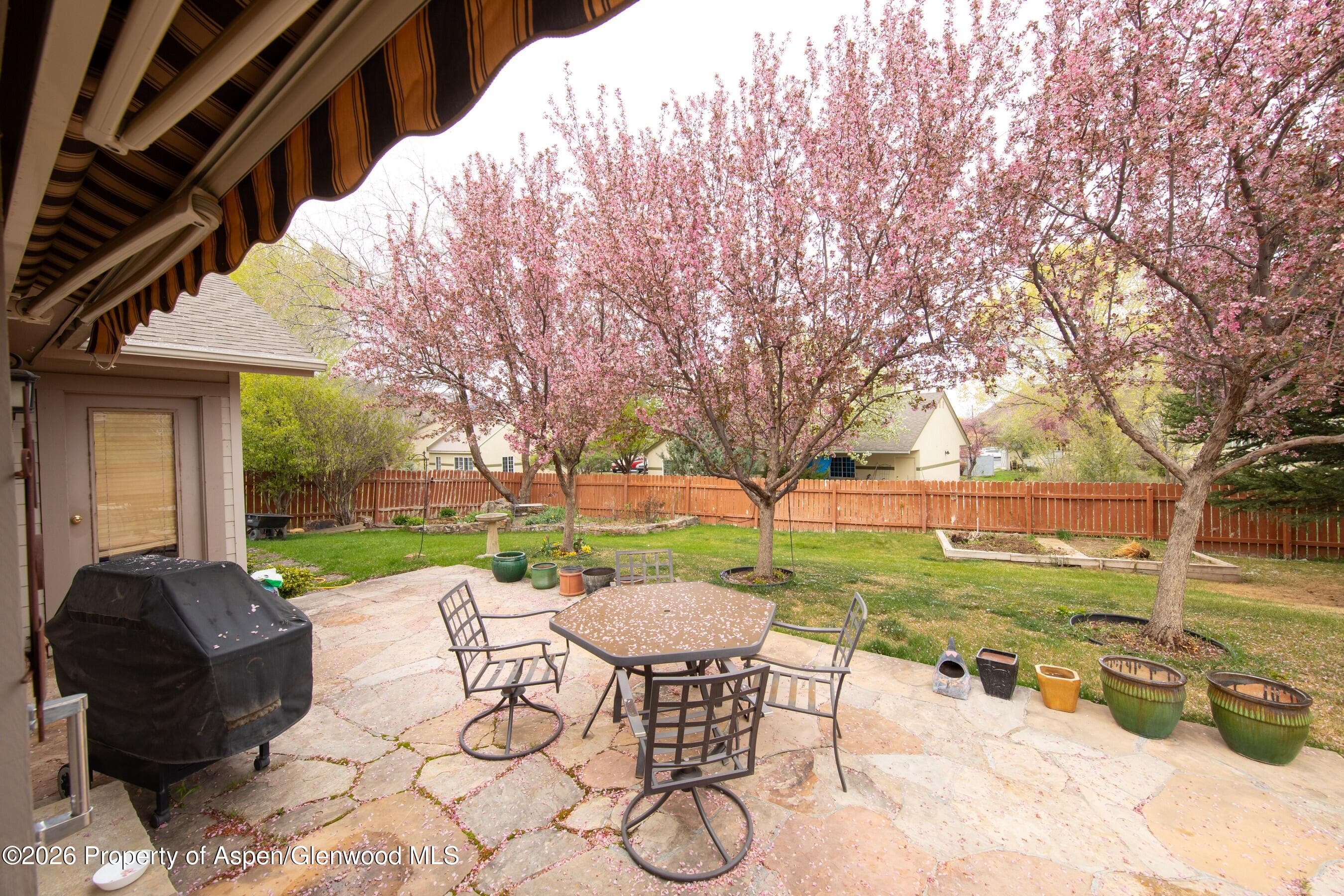 796 Melissa Lane, Carbondale, CO 81623 - Photo 19