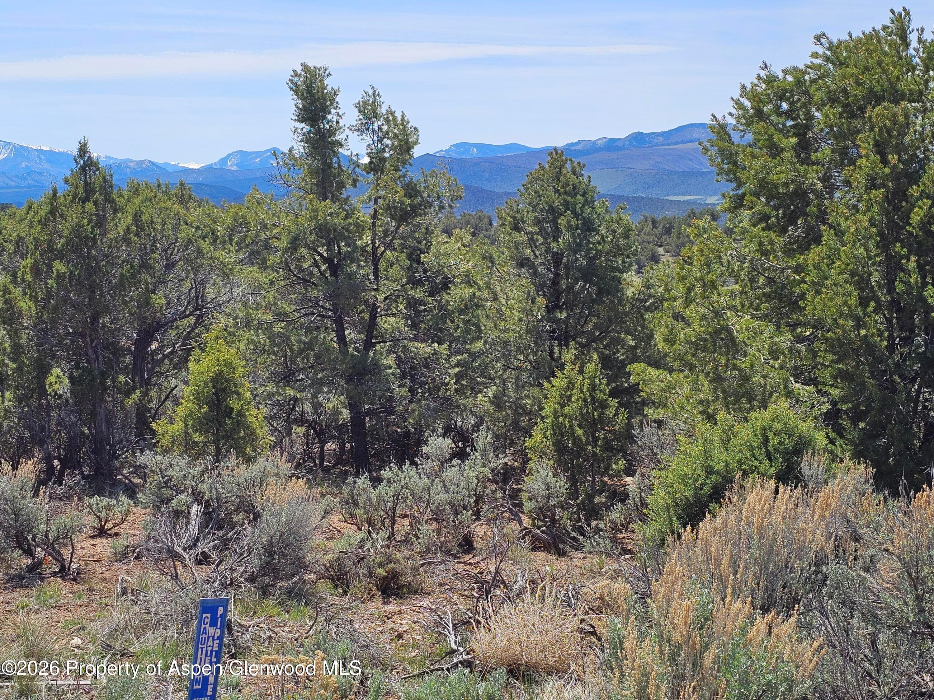 3504 Elk Springs Drive, Glenwood Springs, CO 81601 - Photo 2