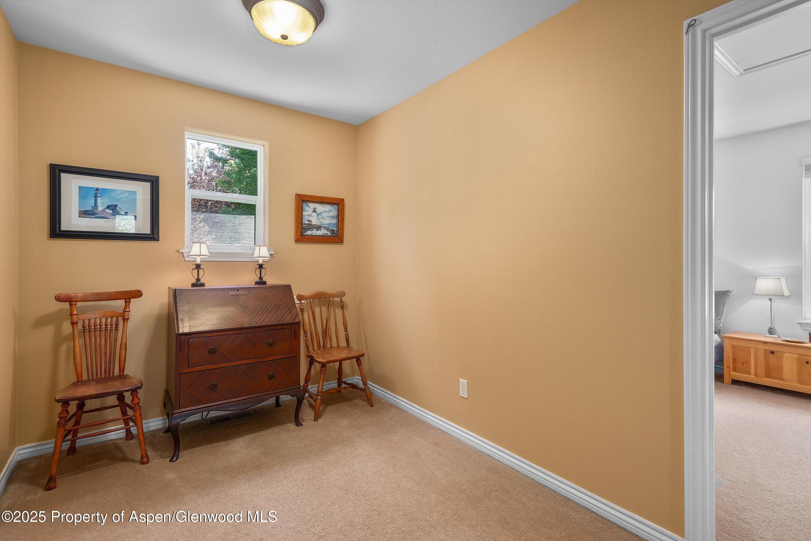 54 Ferguson Drive, Carbondale, CO 81623 - Photo 28